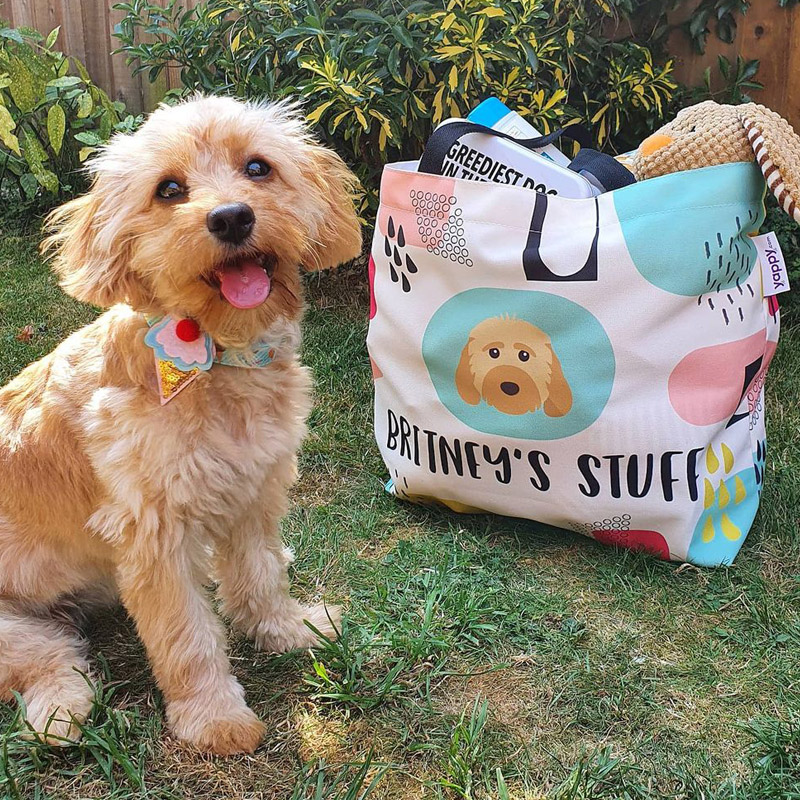 Britney with Personalised Dog Stuff Bag