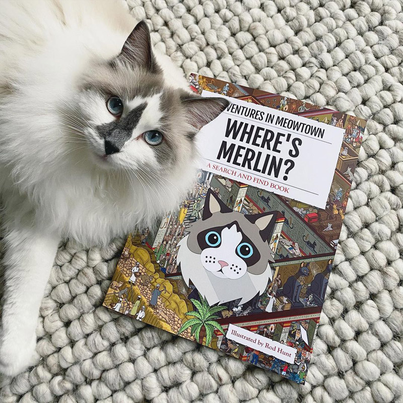 Merlin with Personalised Where's Cat Book