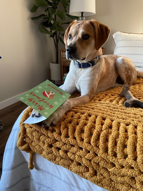 Customer photo of Merry Woofmas Dog: Personalized Dog Christmas Card