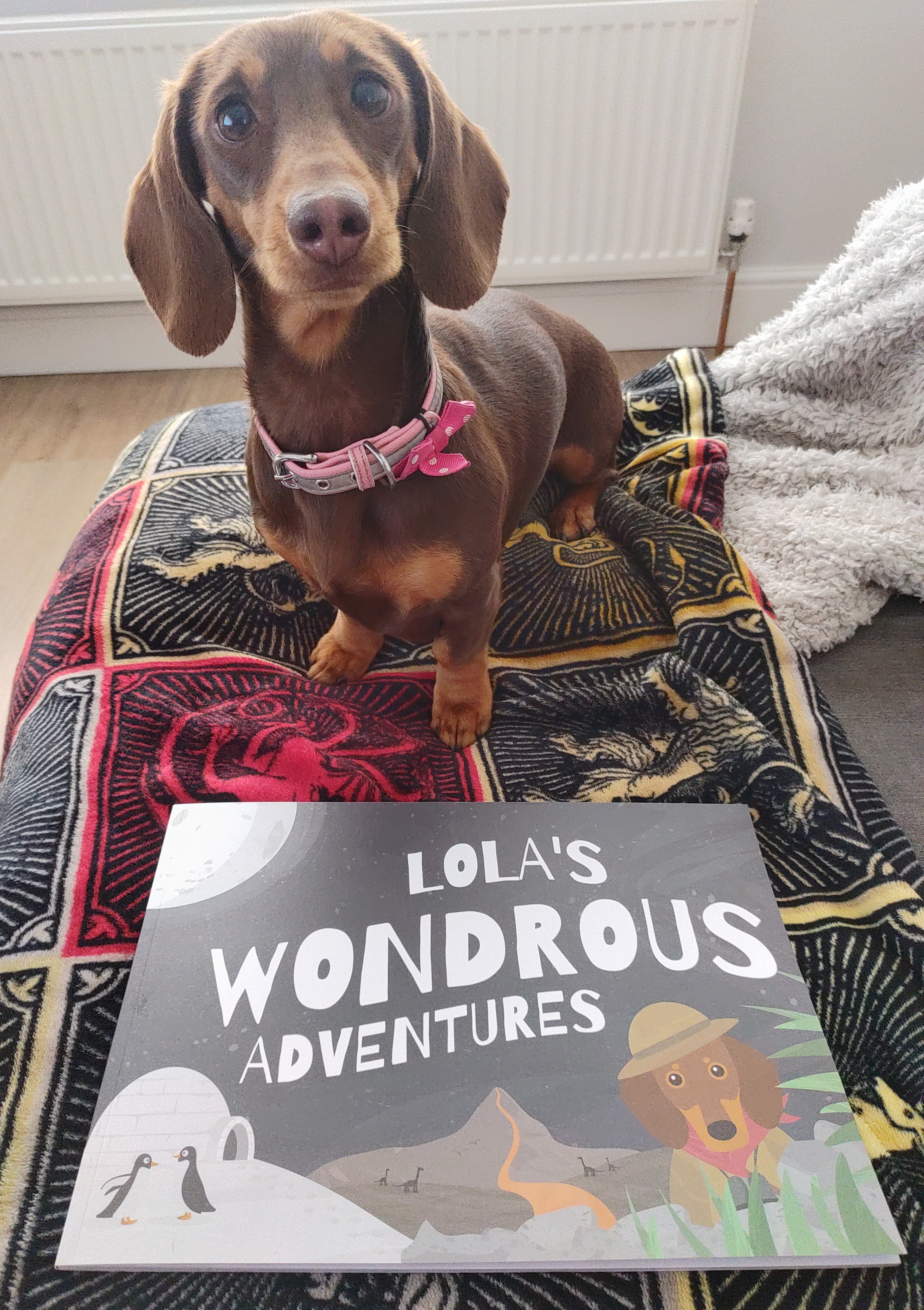Customer photo of Personalized Pekingese Story Book: Dog's Name's Wondrous Adventures