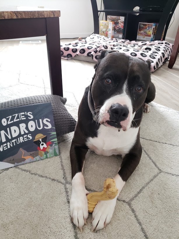 Customer photo of Personalized Pekingese Story Book: Dog's Name's Wondrous Adventures