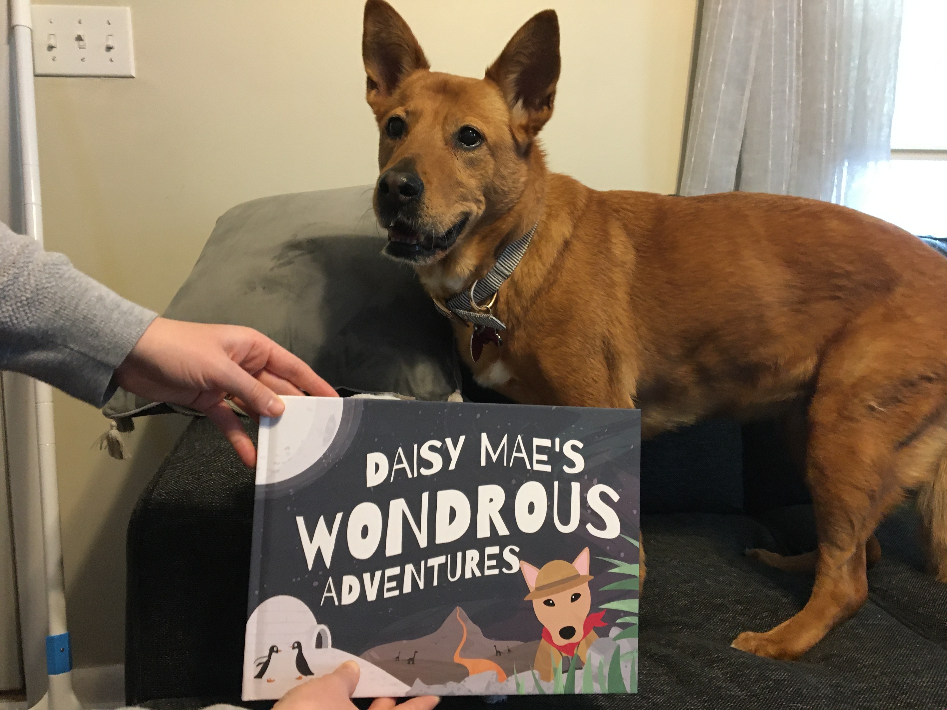 Customer photo of Personalized Pekingese Story Book: Dog's Name's Wondrous Adventures