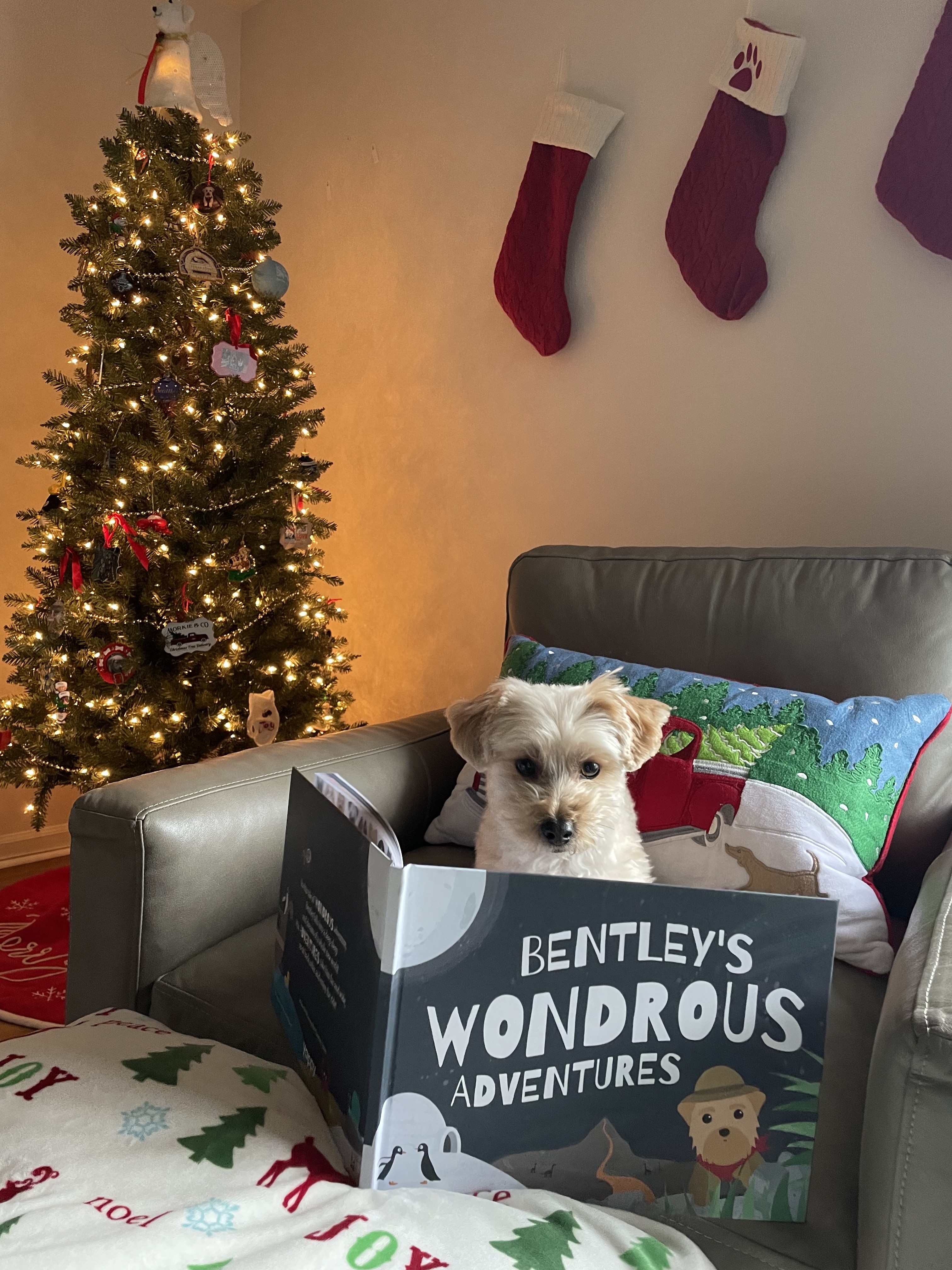 Customer photo of Personalized Pekingese Story Book: Dog's Name's Wondrous Adventures