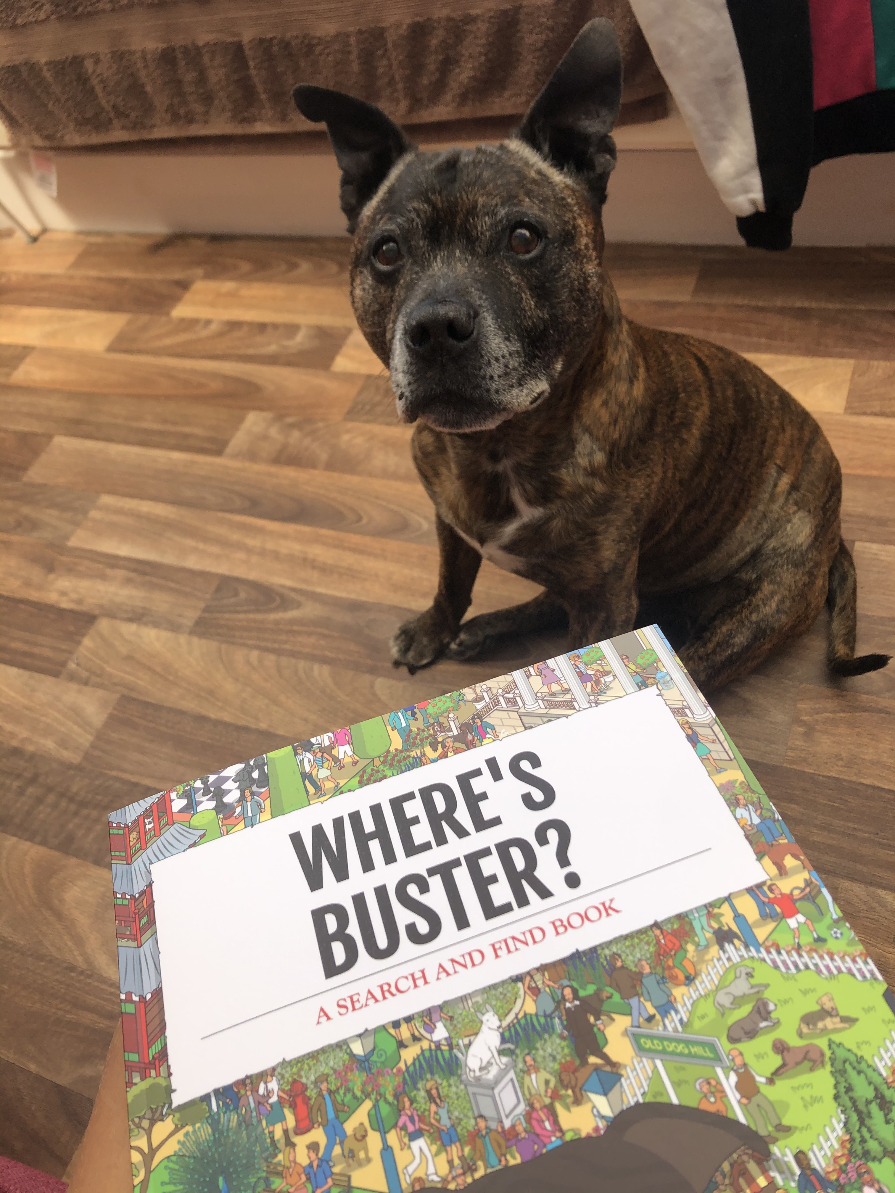Customer photo of Personalized Pekingese Book: Where's Pekingese?