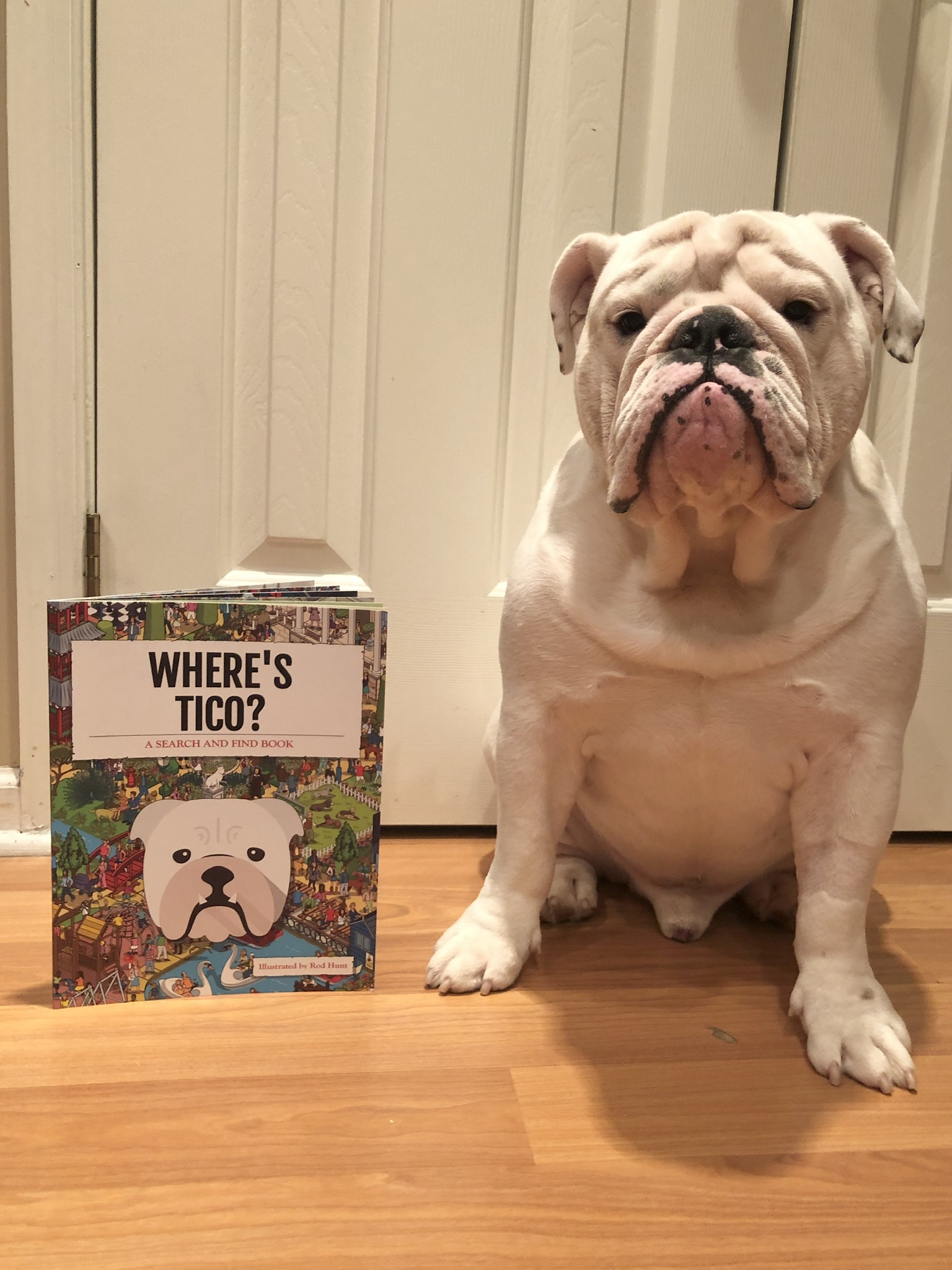 Customer photo of Personalized Pekingese Book: Where's Pekingese?