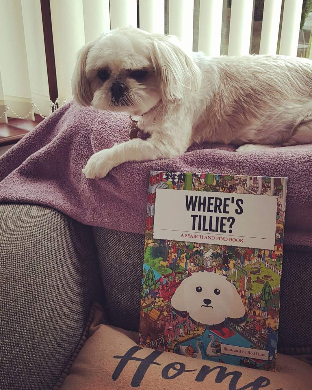 Customer photo of Personalized Pekingese Book: Where's Pekingese?
