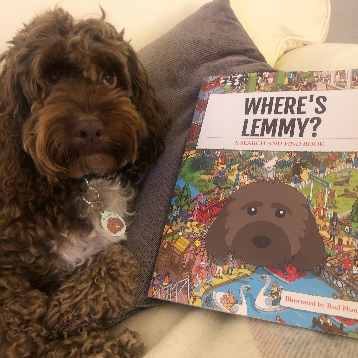 Customer photo of Personalized Pekingese Book: Where's Pekingese?