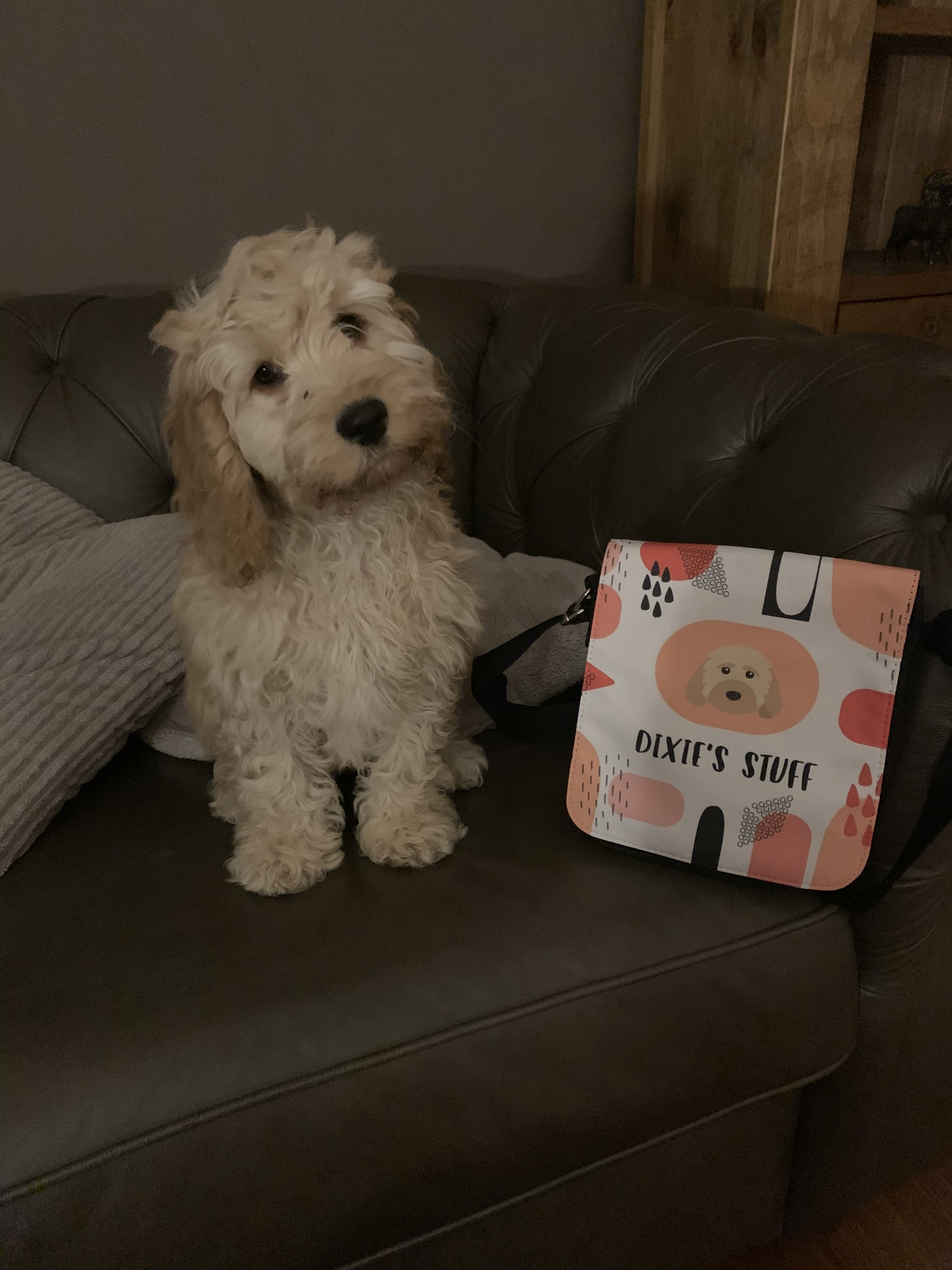 Customer photo of 'Abstract Pattern With Plott Hound Icon' - Personalized Dog Walking Bag