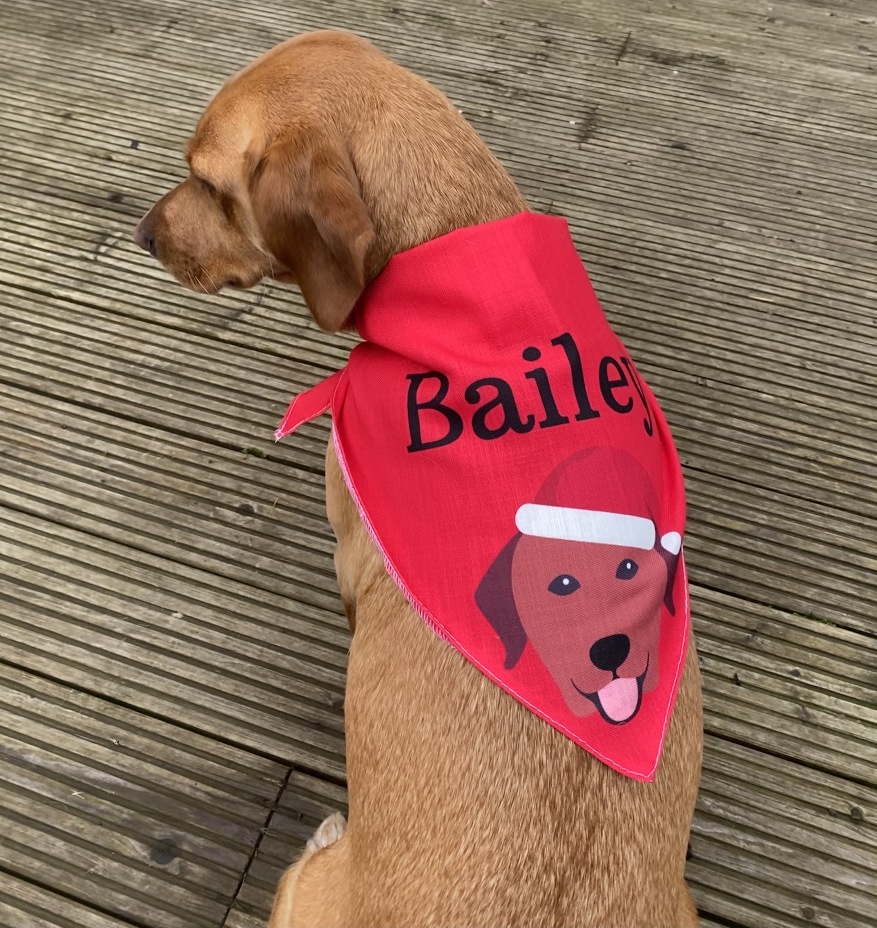 Customer photo of Peeking Christmas Icon: Personalized Dog Bandana