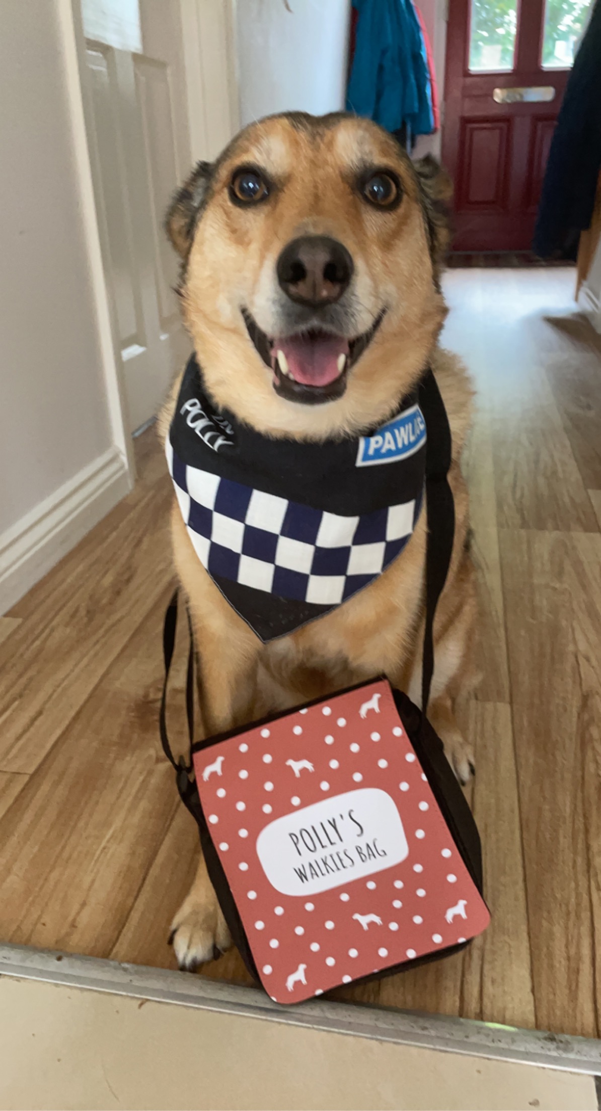 Customer photo of 'Dog's Walkies Bag' - Personalized Dog Walking Bag with Dog Silhouettes