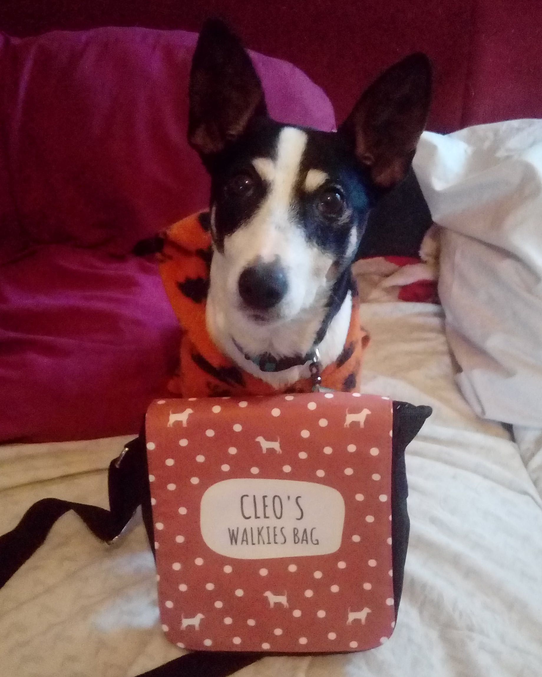 Customer photo of 'Dog's Walkies Bag' - Personalized Dog Walking Bag with Dog Silhouettes