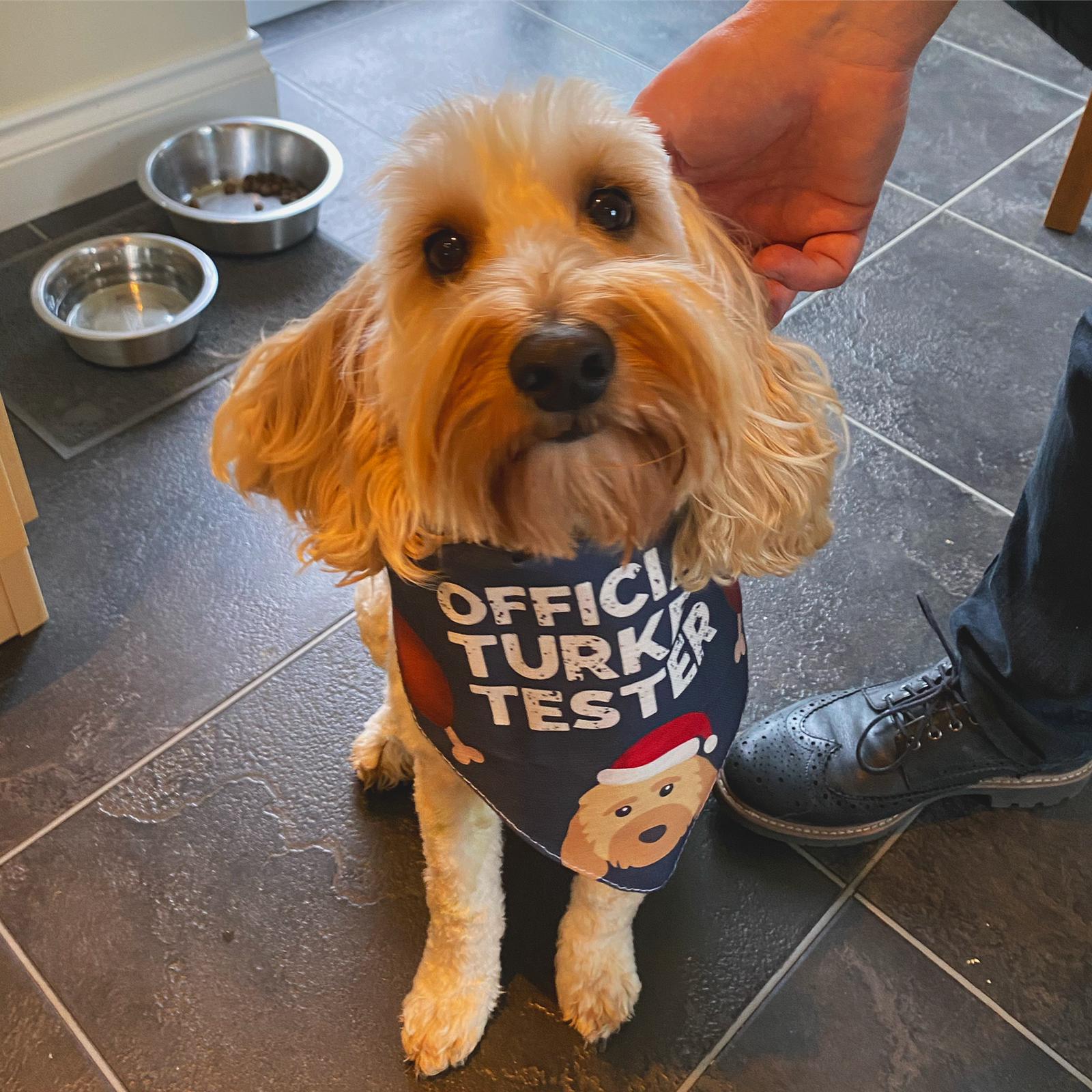 Customer photo of 'Official Turkey Tester' - Personalised Dog Christmas Bandana