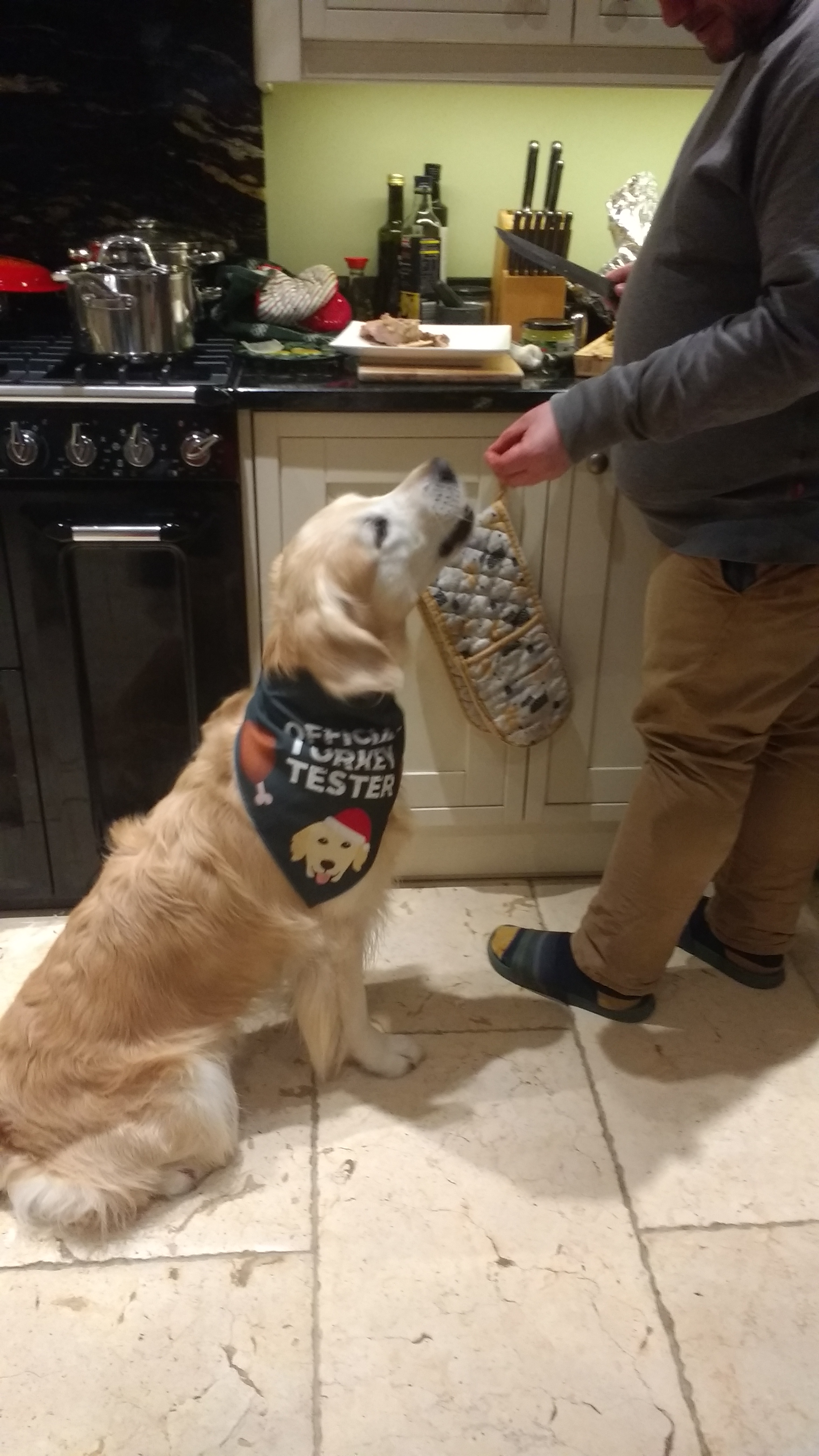 Customer photo of 'Official Turkey Tester' - Personalised Dog Christmas Bandana