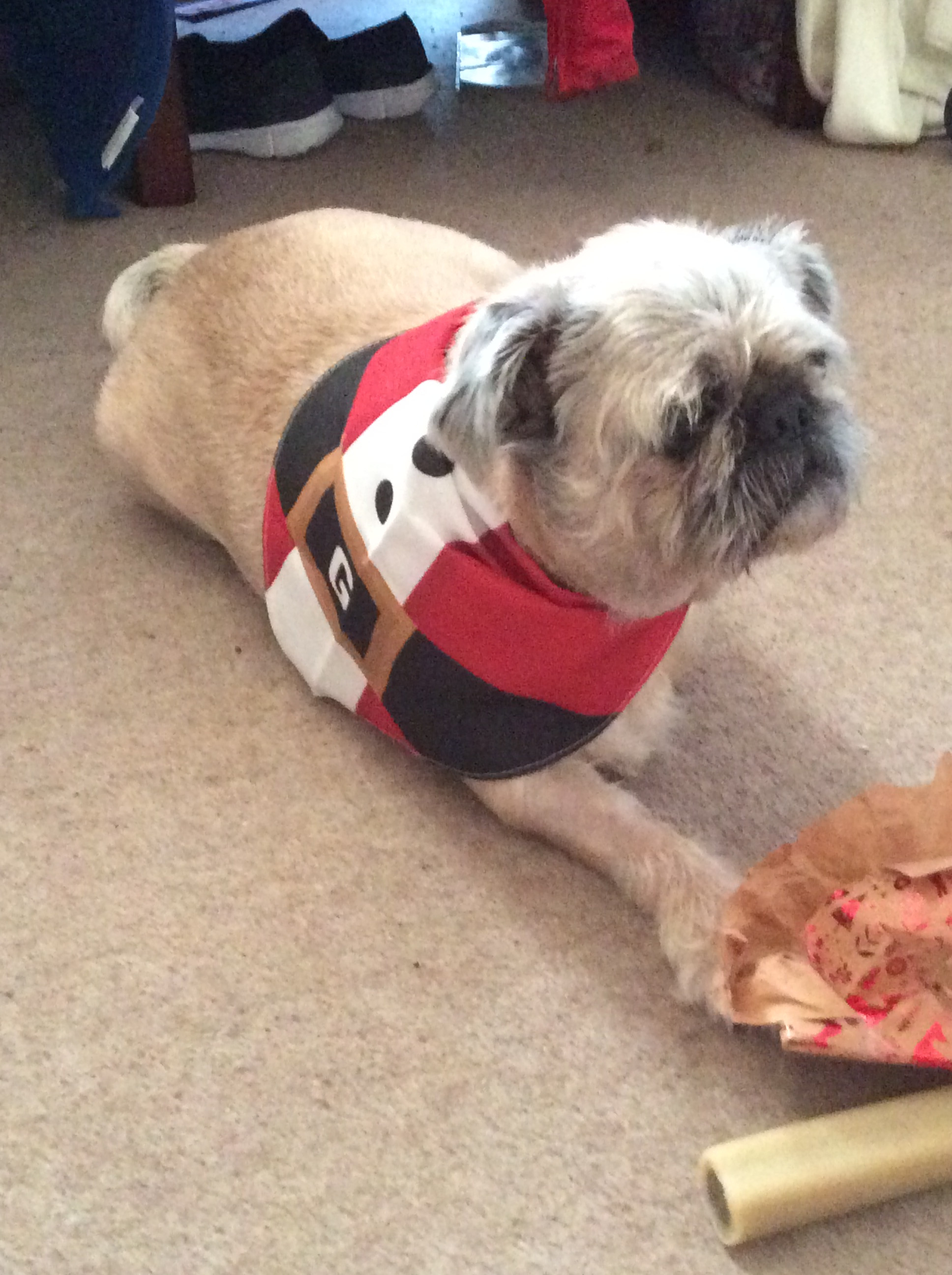 Customer photo of Santa Suit: Personalized Dog Christmas Bandana