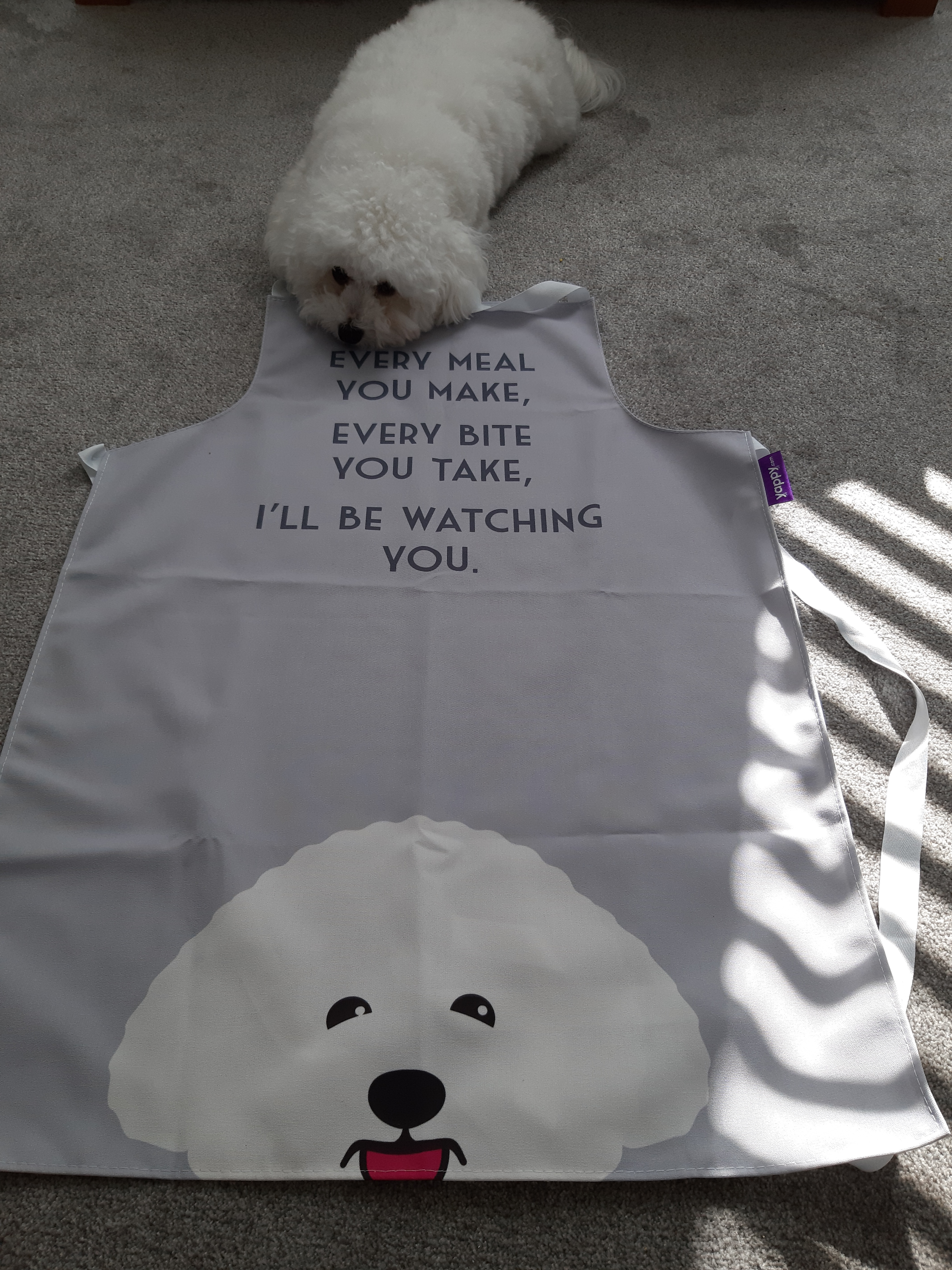 Customer photo of I'll Be Watching You: Personalized Lhasapoo Apron