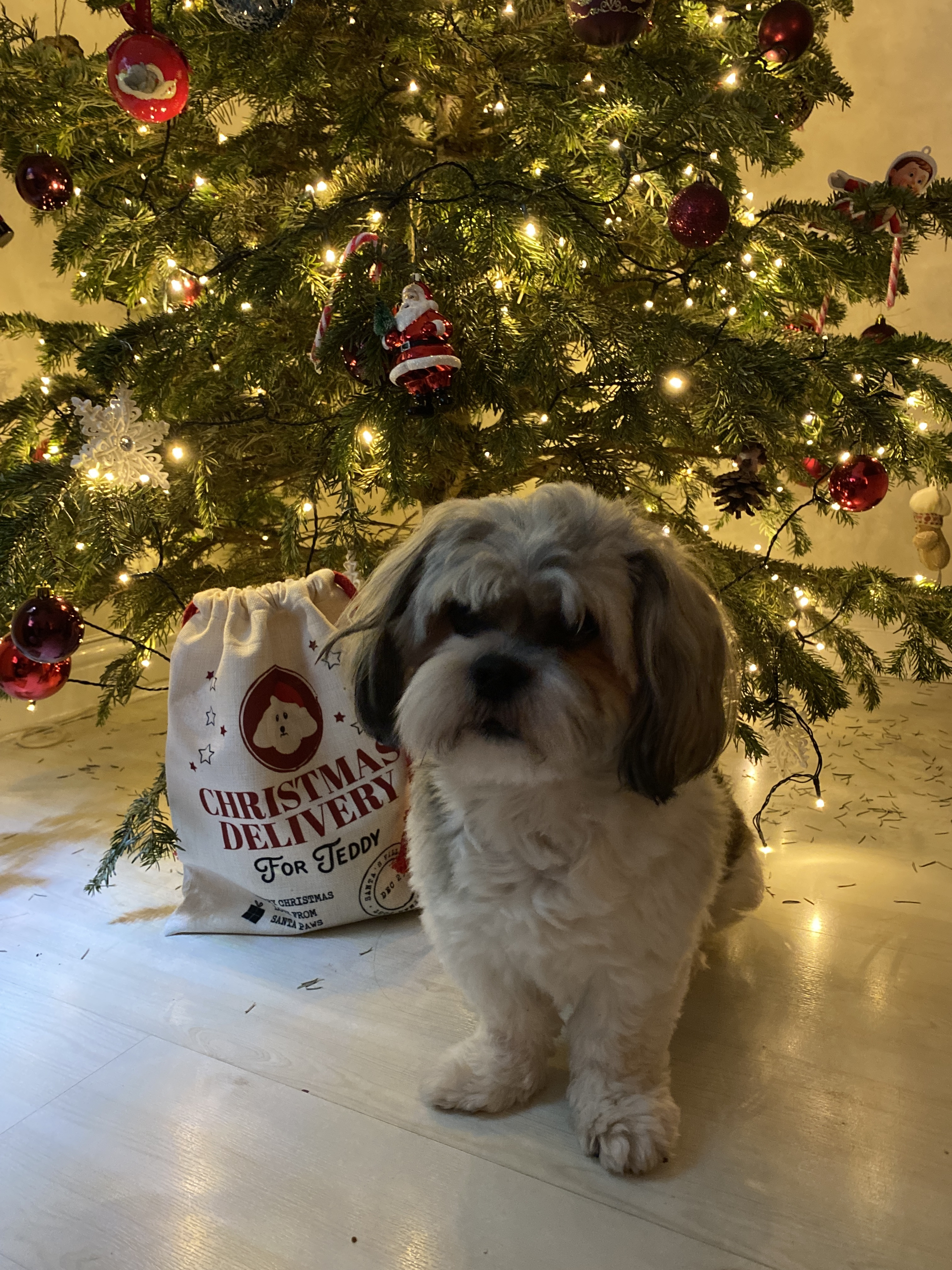Customer photo of Christmas Delivery: Personalised Dog Santa Sack