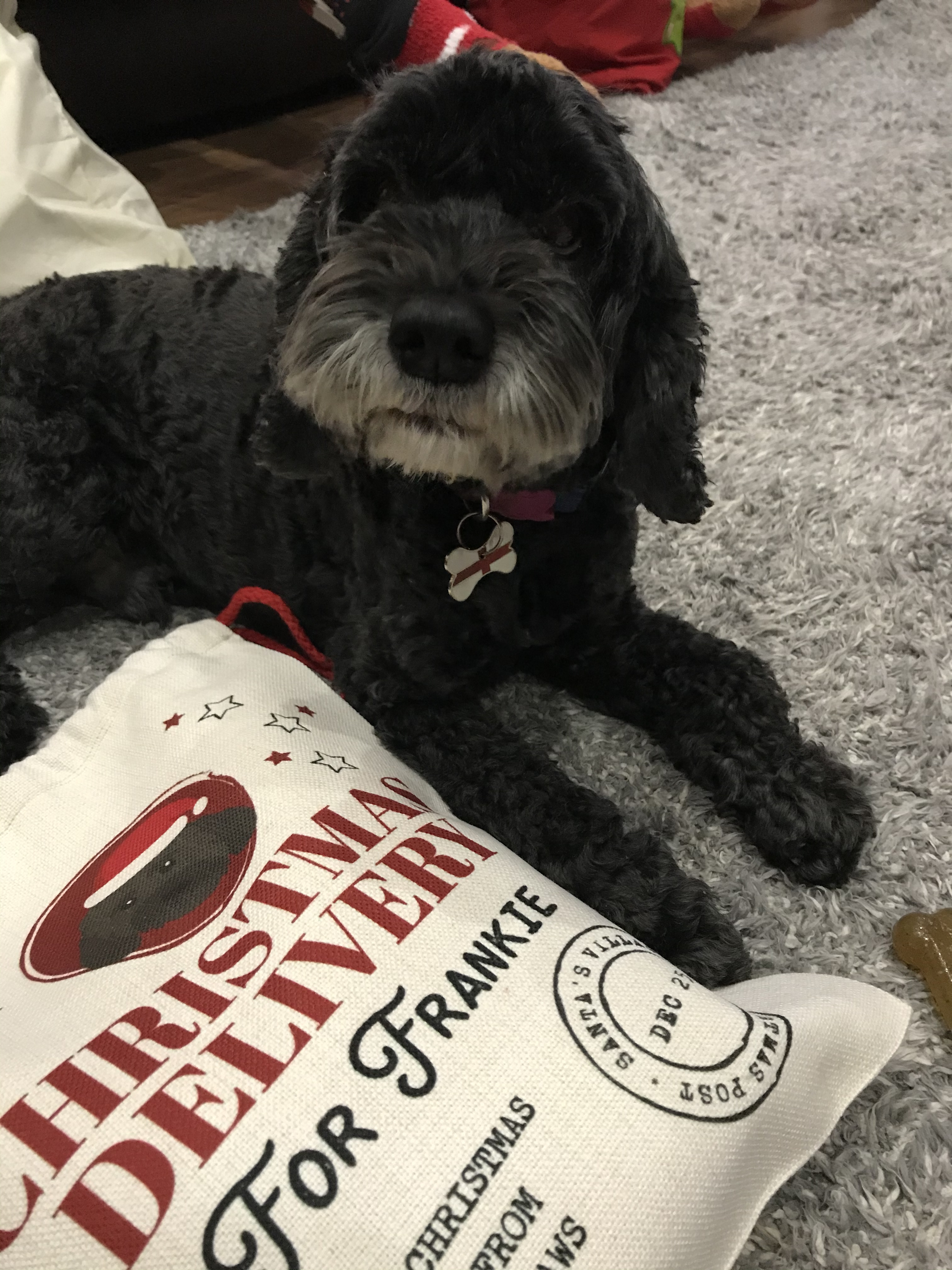 Customer photo of Christmas Delivery: Personalised Dog Santa Sack