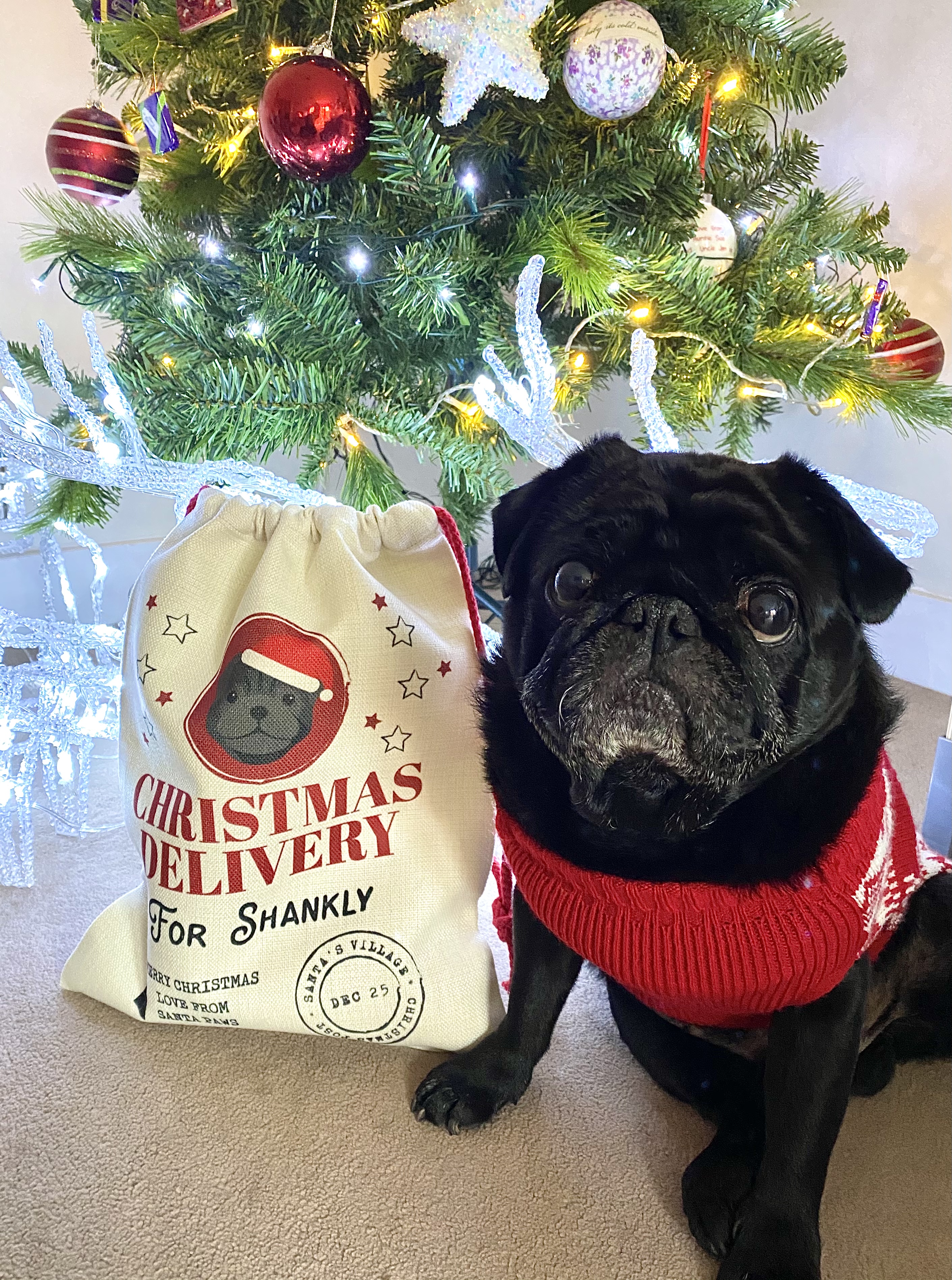 Customer photo of Christmas Delivery: Personalised Dog Santa Sack