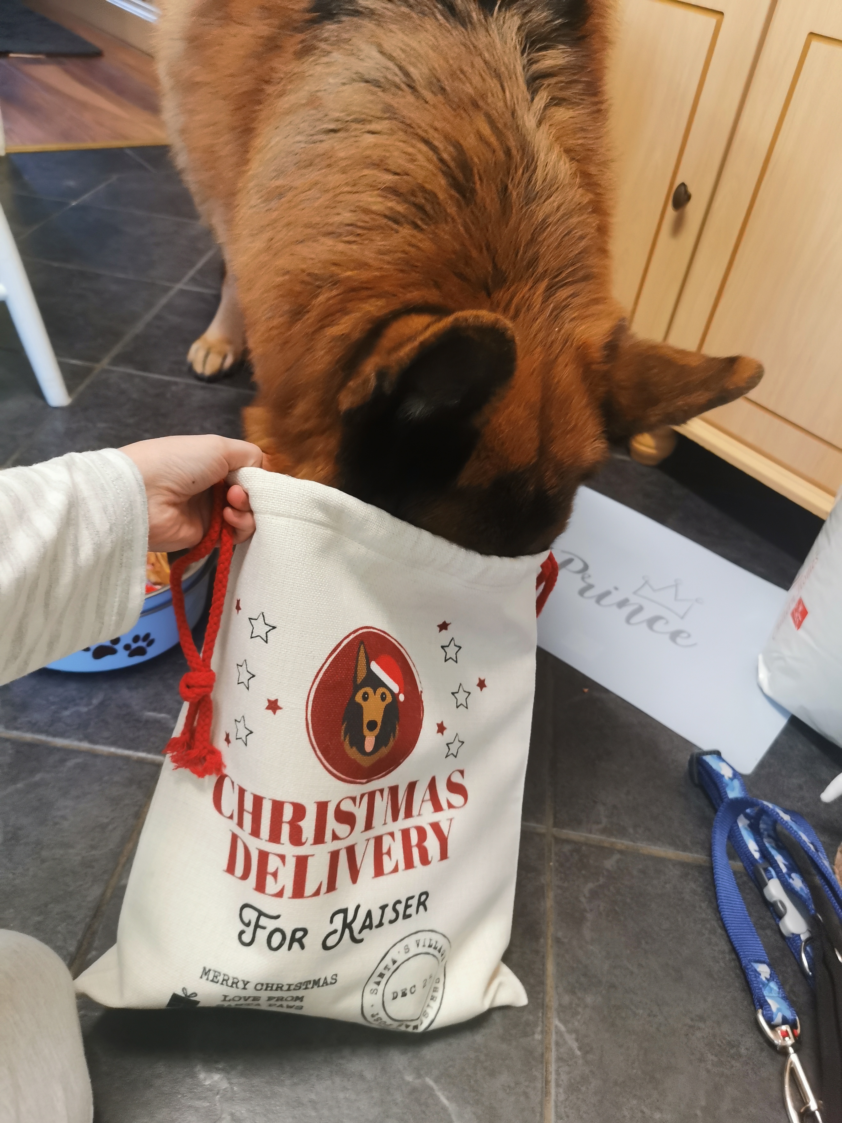 Customer photo of Christmas Delivery: Personalised Dog Santa Sack