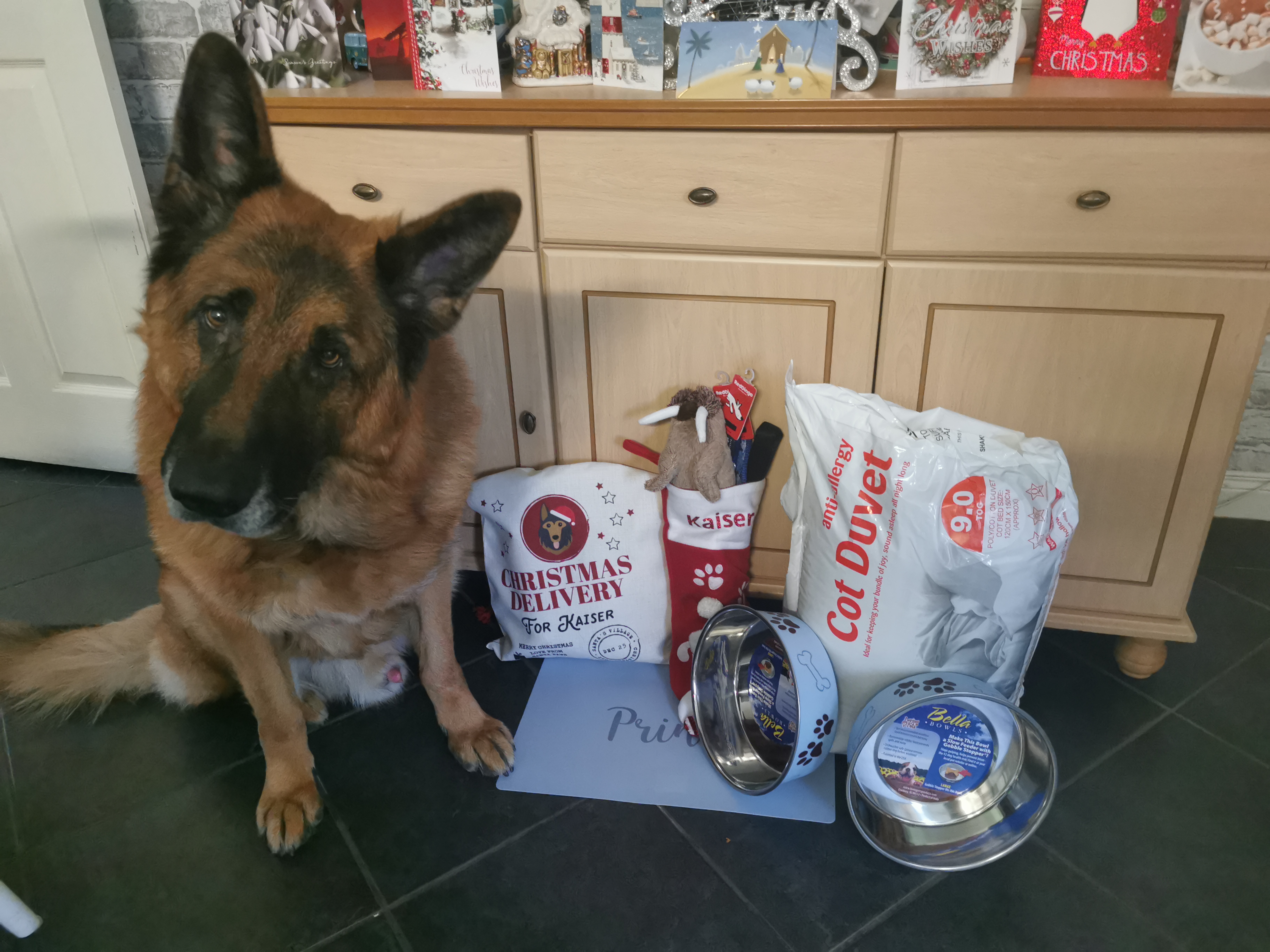Customer photo of Christmas Delivery: Personalised Dog Santa Sack