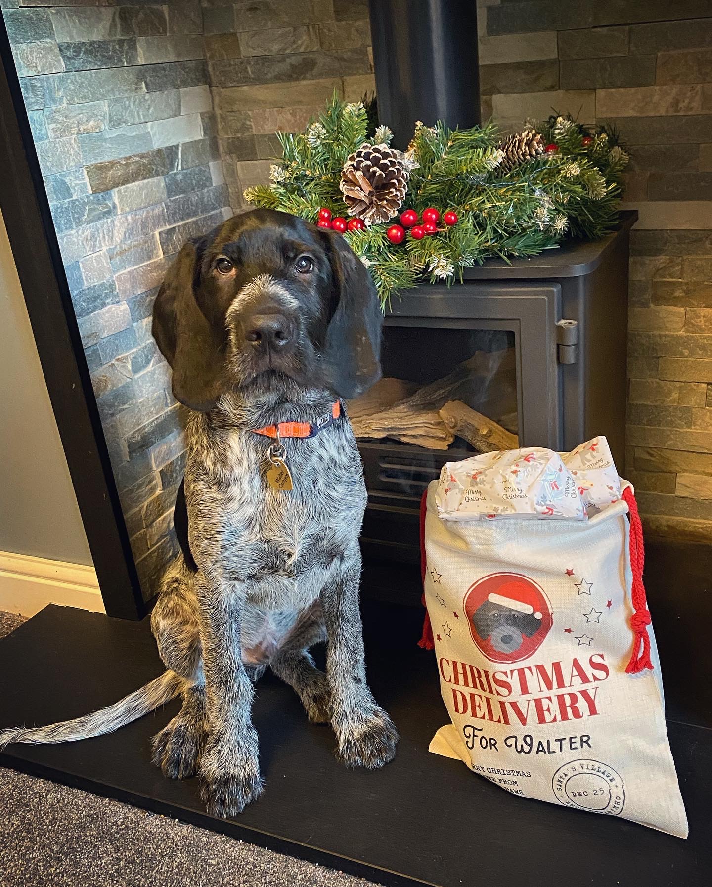 Customer photo of Christmas Delivery: Personalised Dog Santa Sack