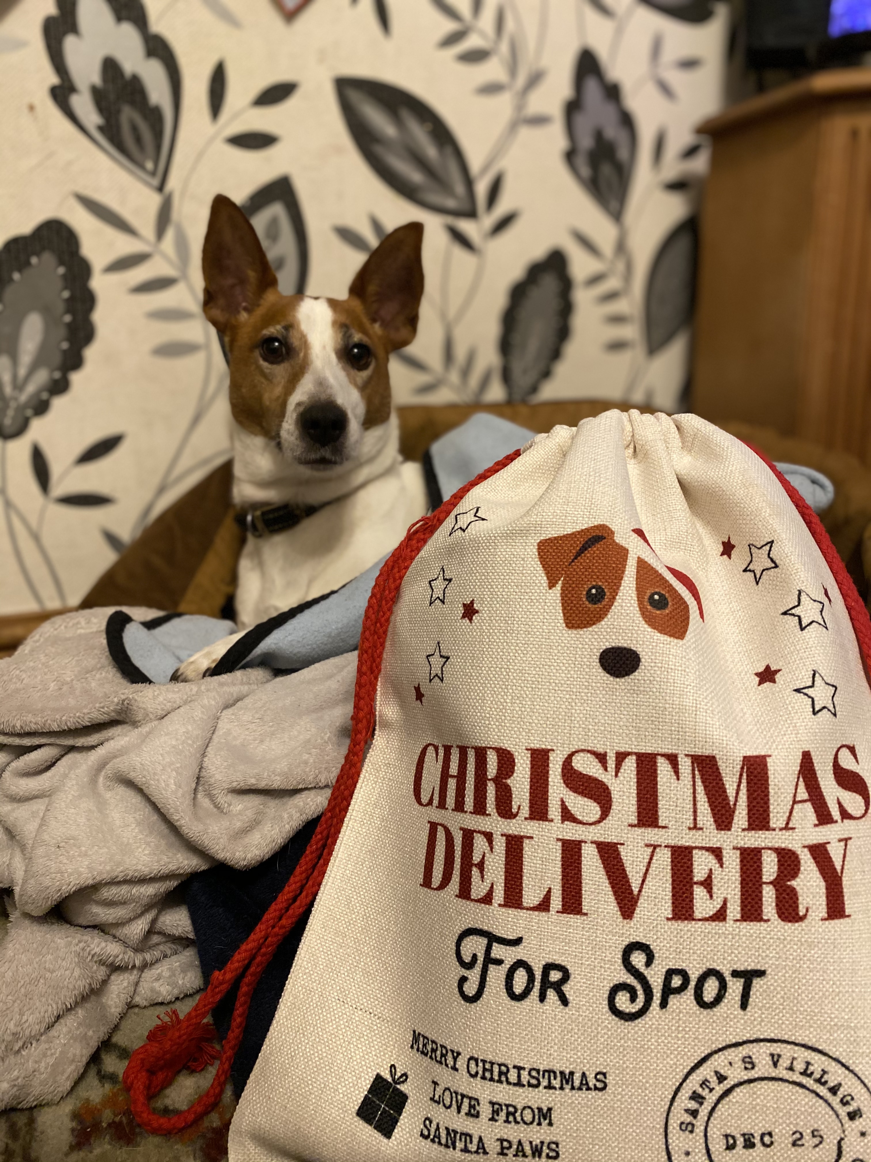 Customer photo of Christmas Delivery: Personalised Dog Santa Sack