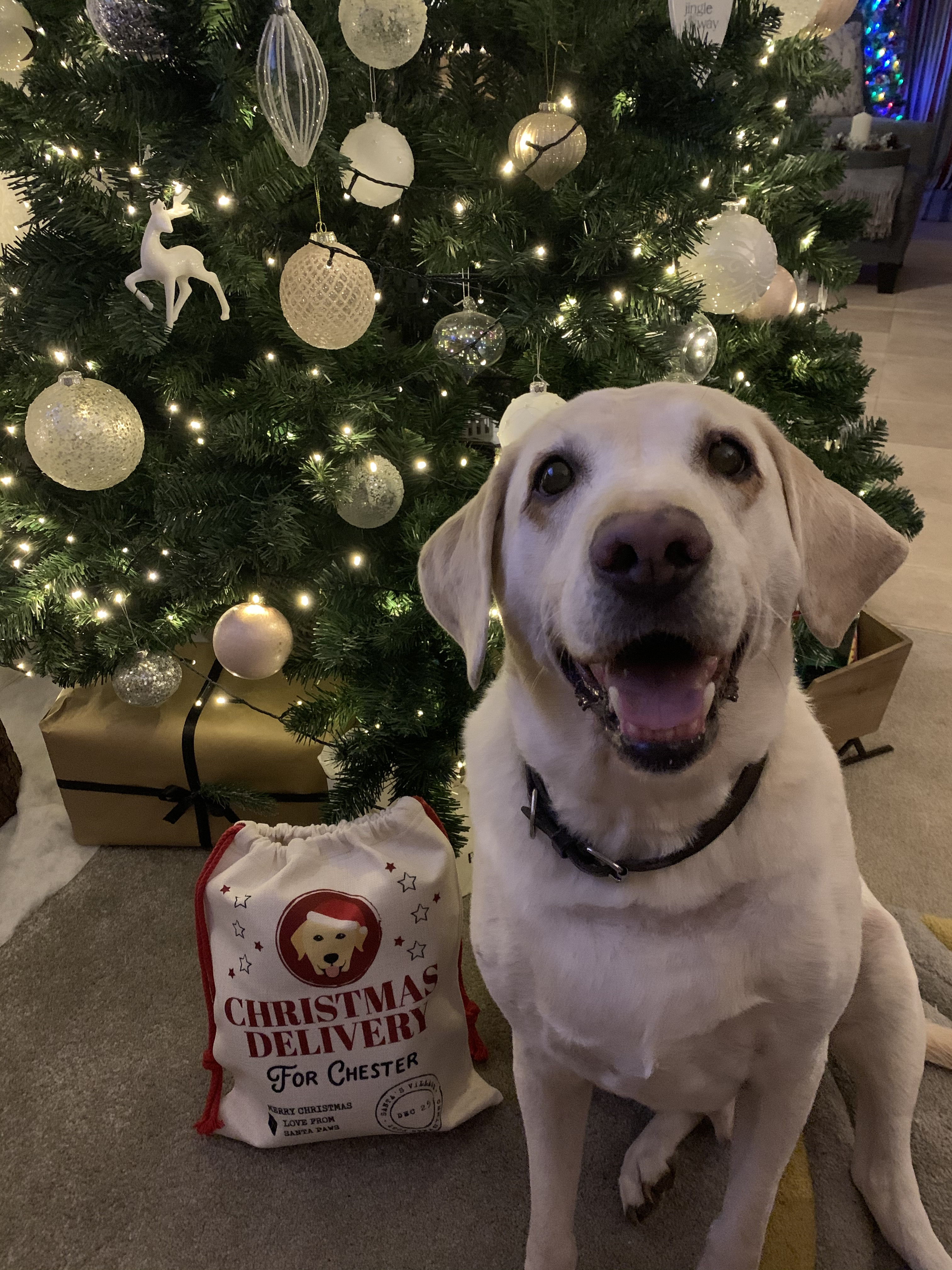 Customer photo of Christmas Delivery: Personalised Dog Santa Sack