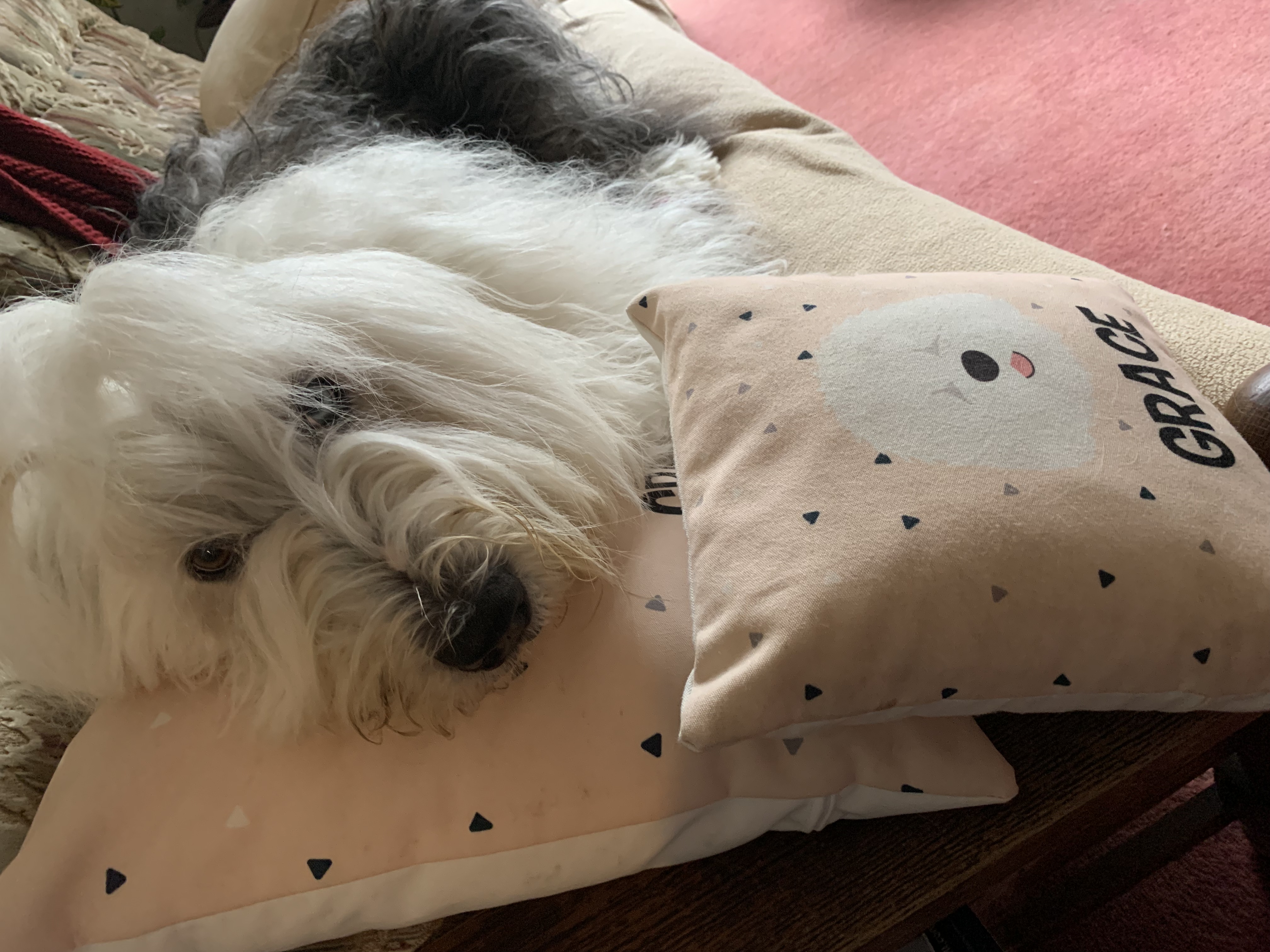 Customer photo of Triangle Pattern with Chipoo's Icon: Personalized Canvas Pillow