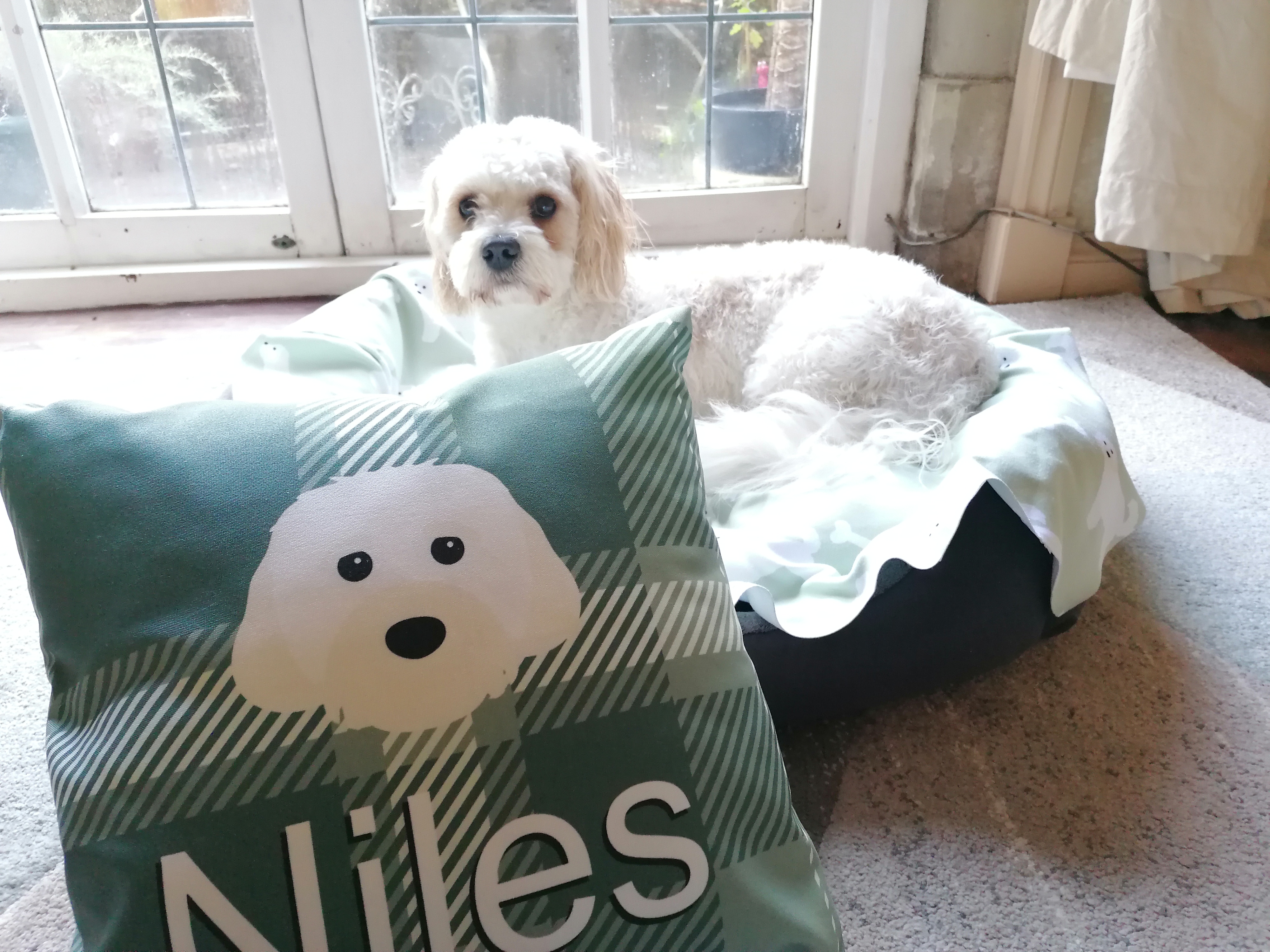Customer photo of Tartan Pattern: Personalized Jack-A-Poo Soft Touch Pillow