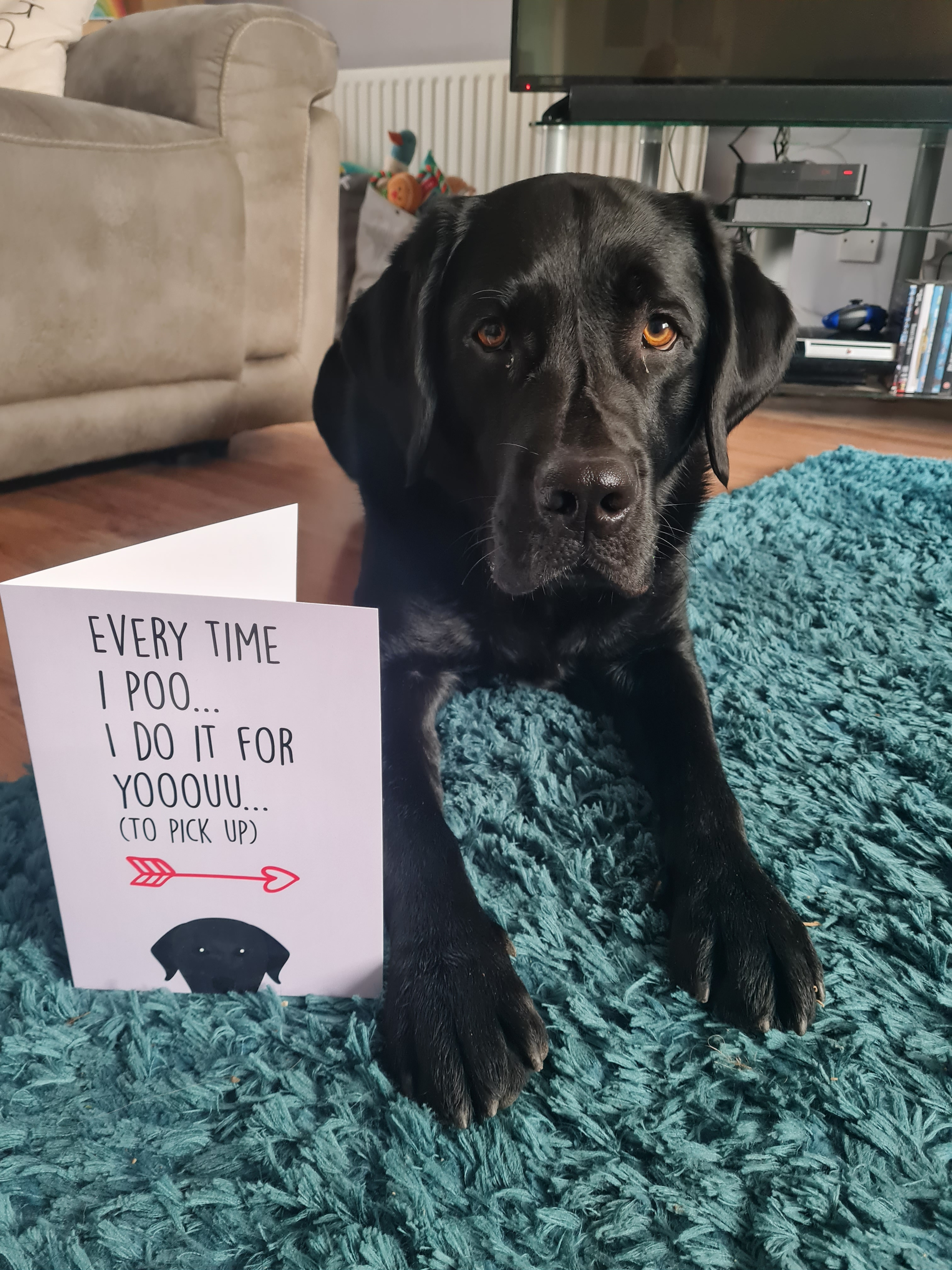 Customer photo of 'Every Time I Poo...' - Personalised Card with Dog Icon
