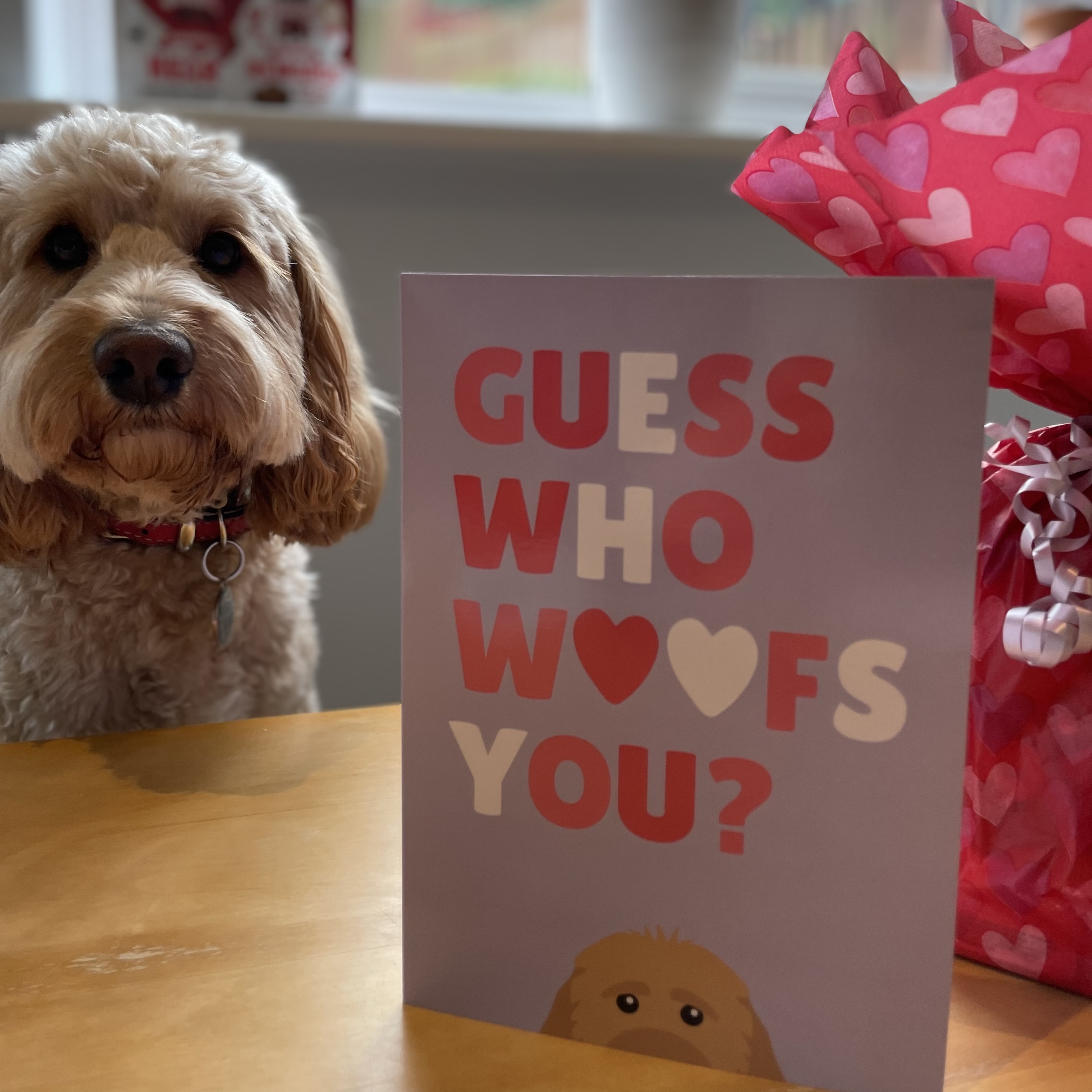 Customer photo of 'Guess Who Woofs You?' - Personalised Card with Dog Icon