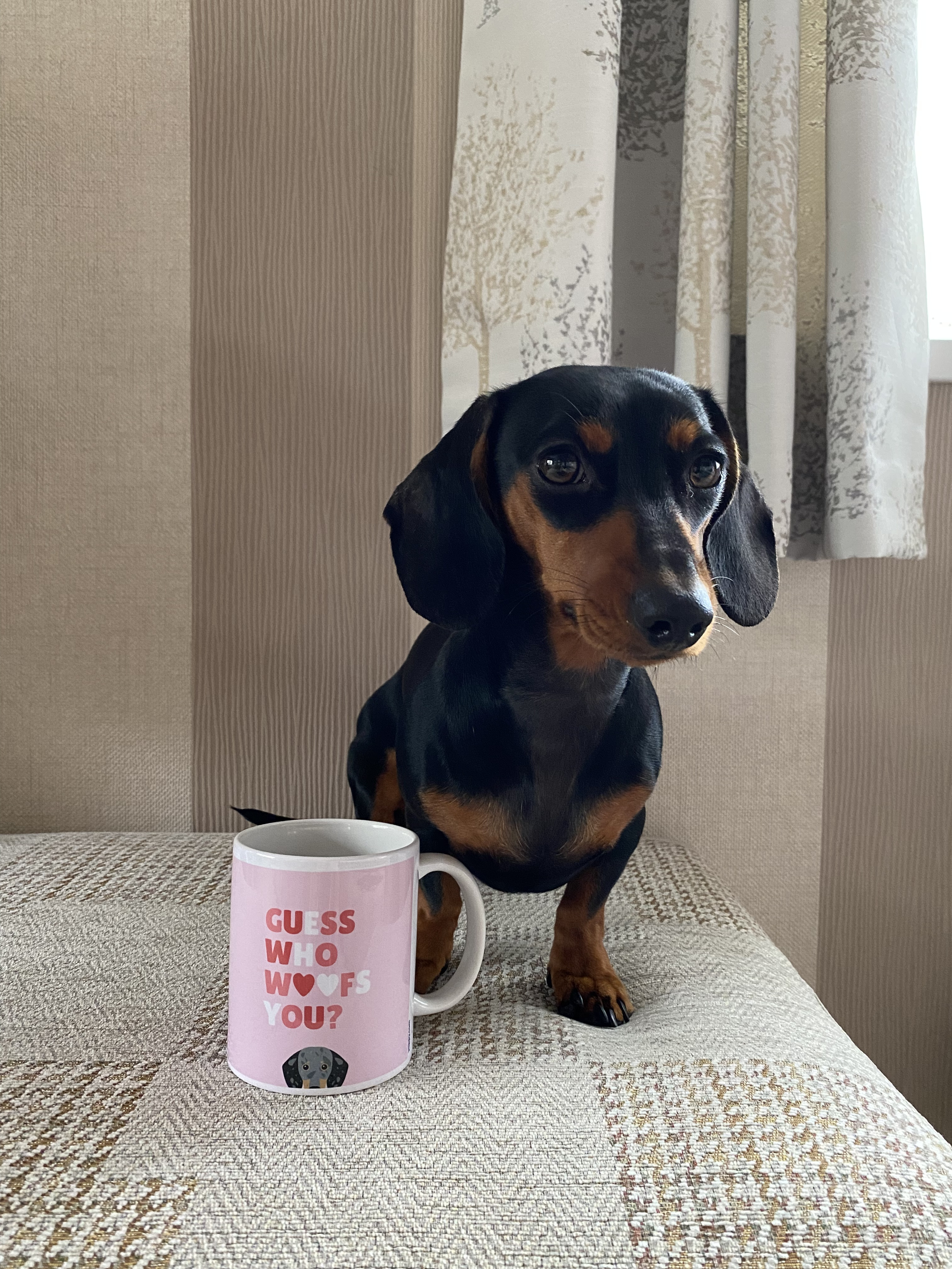 Customer photo of Guess Who Woofs You: Personalized Italian Greyhound Mug