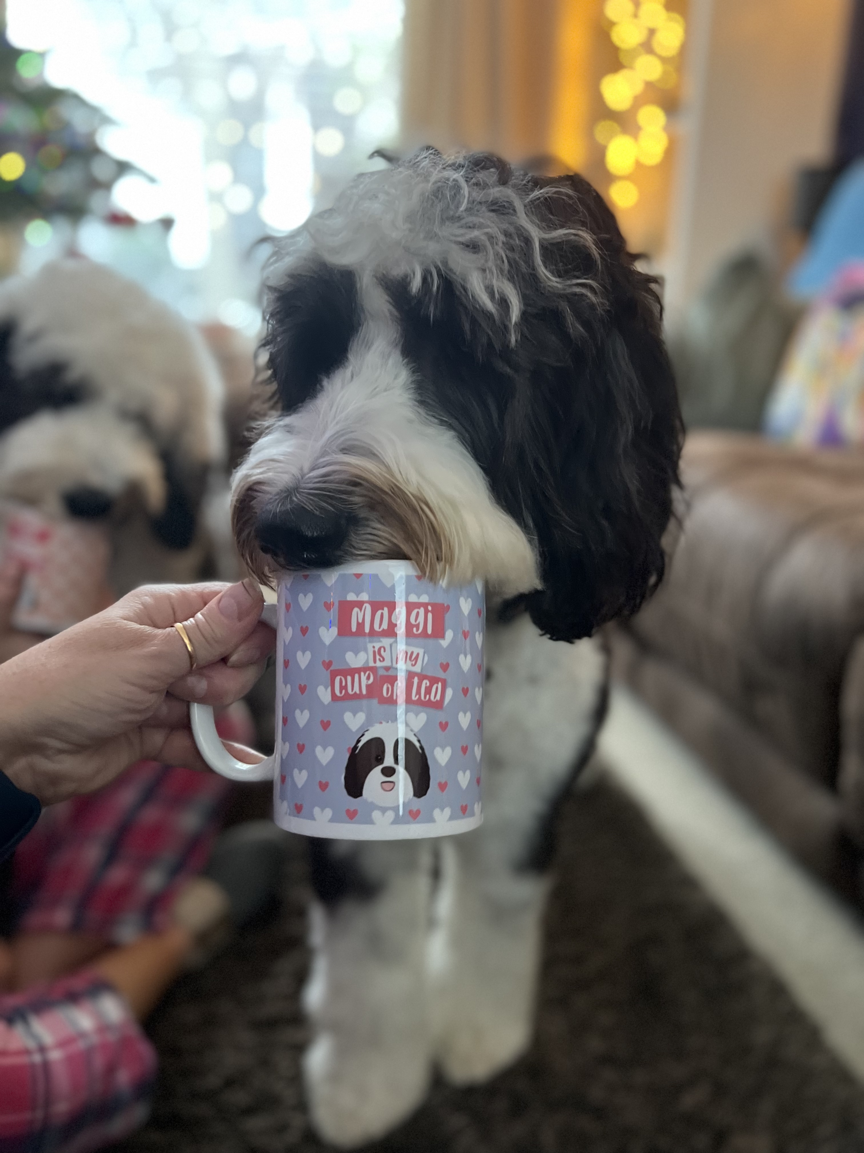Customer photo of Pointer Is My Cup of Tea: Personalized Pointer Mug