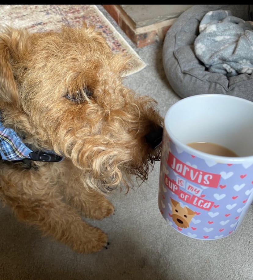 Customer photo of Pointer Is My Cup of Tea: Personalized Pointer Mug