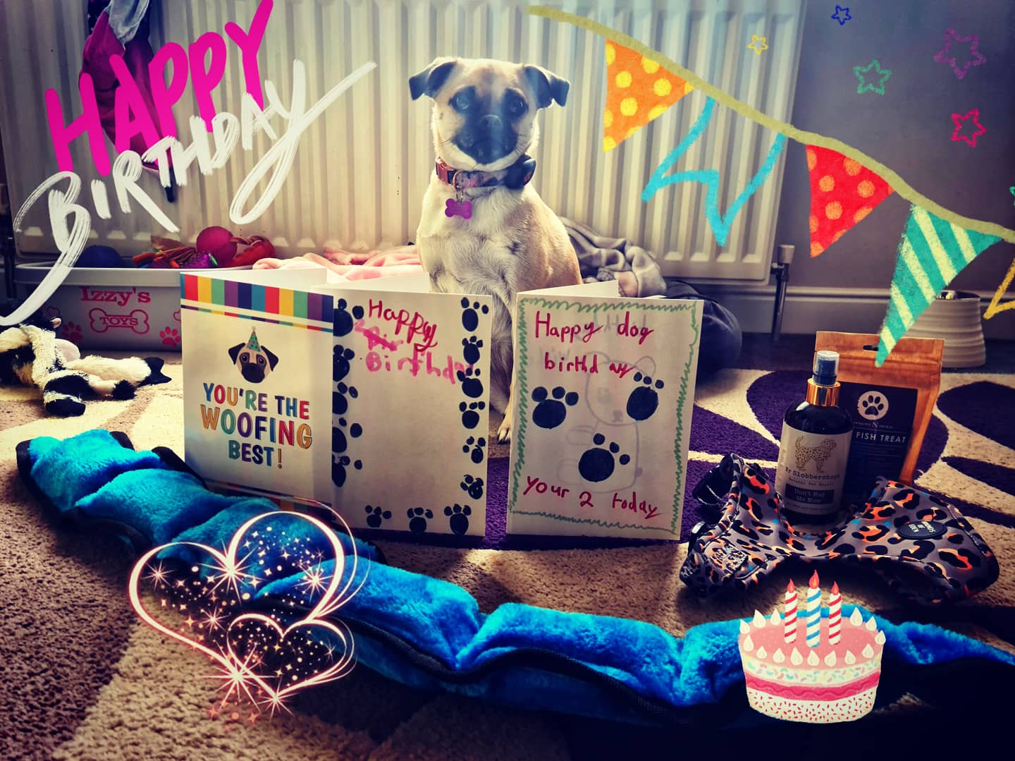 Customer photo of 'You're the Woofing Best' - Personalised Dog Card