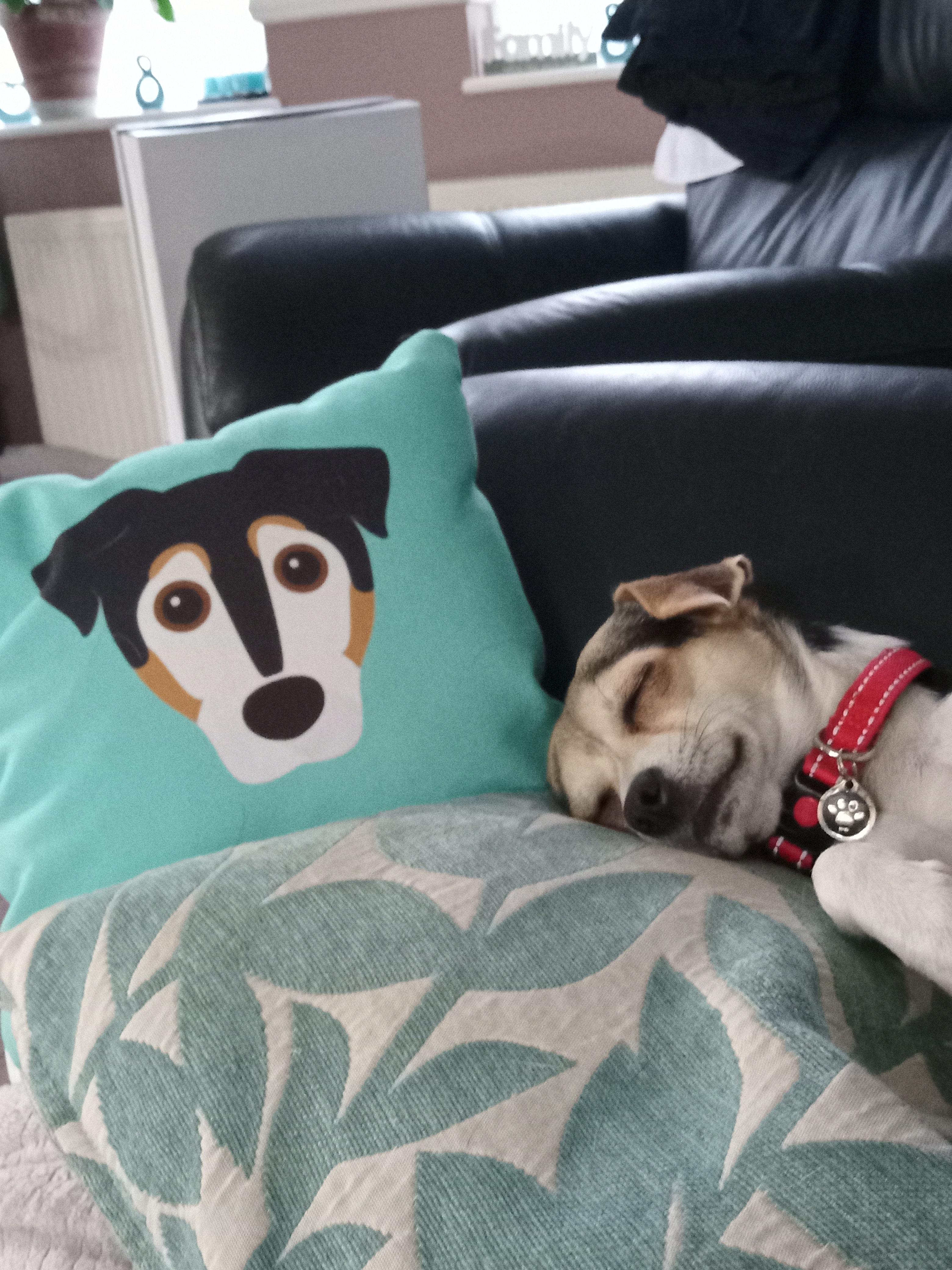 Customer photo of Lhasapoo's Icon: Personalized Lhasapoo Canvas Pillow