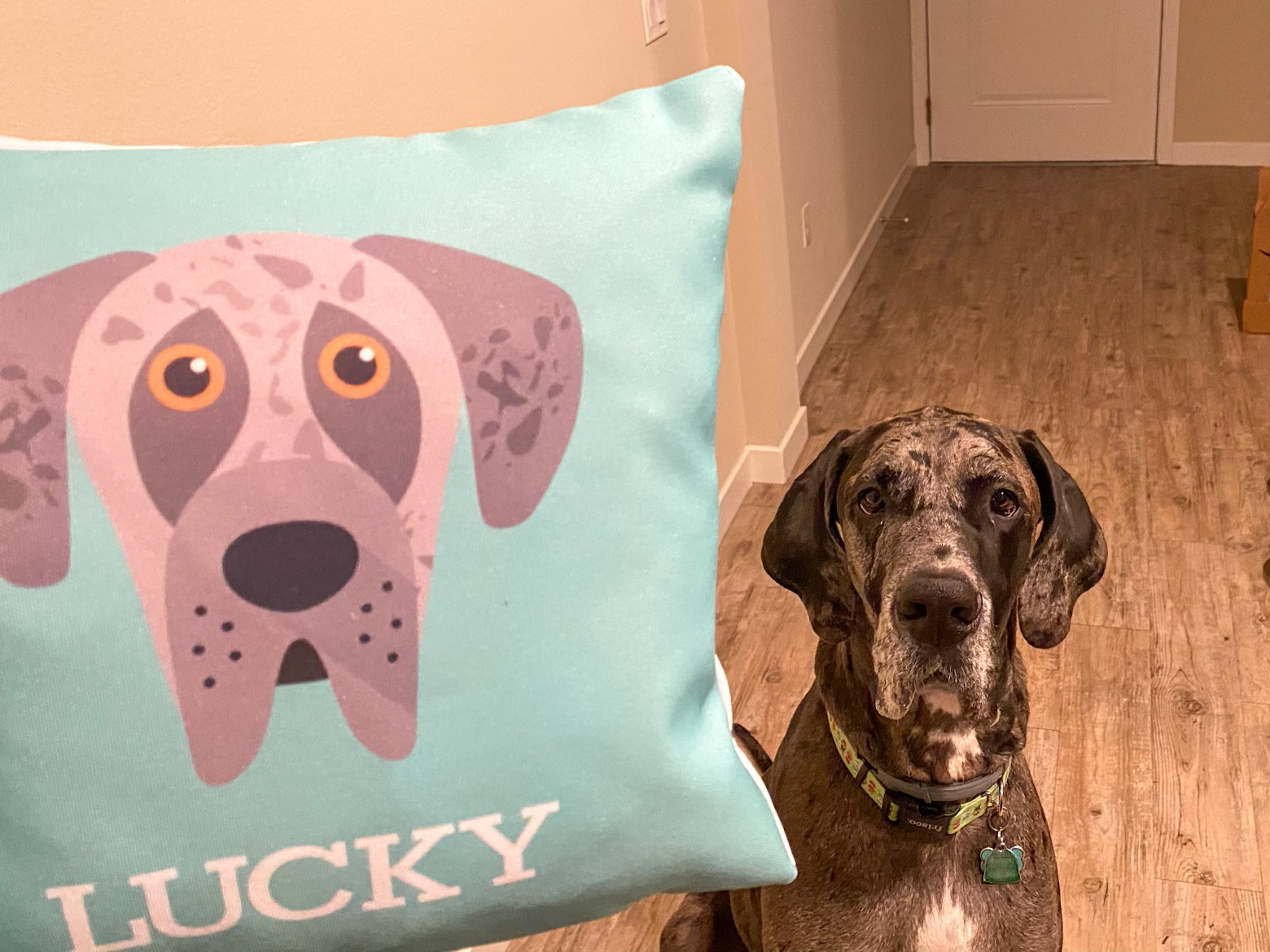Customer photo of Lhasapoo's Icon: Personalized Lhasapoo Canvas Pillow