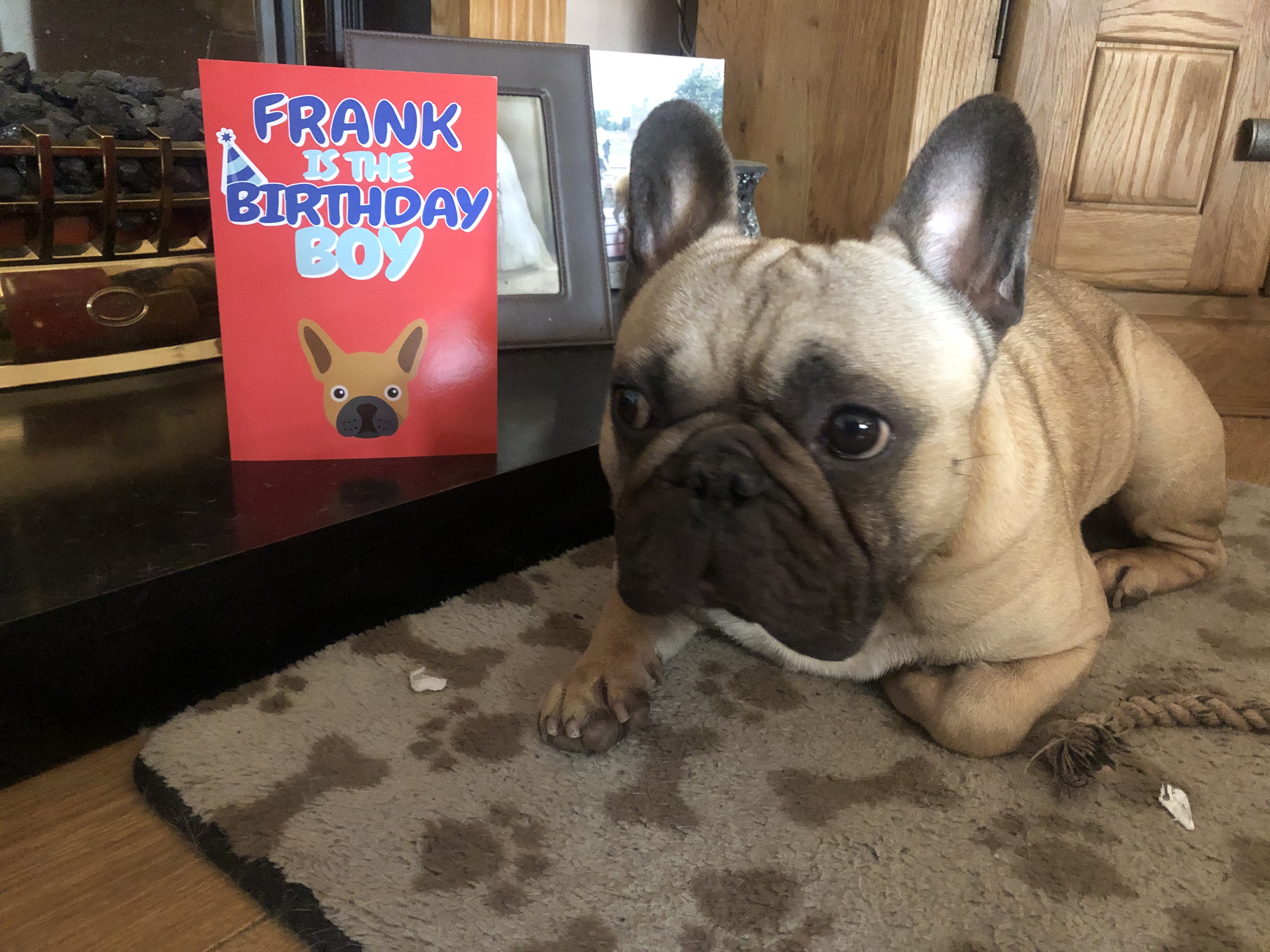 Customer photo of 'Birthday Boy' - Personalized Jack-A-Poo Card