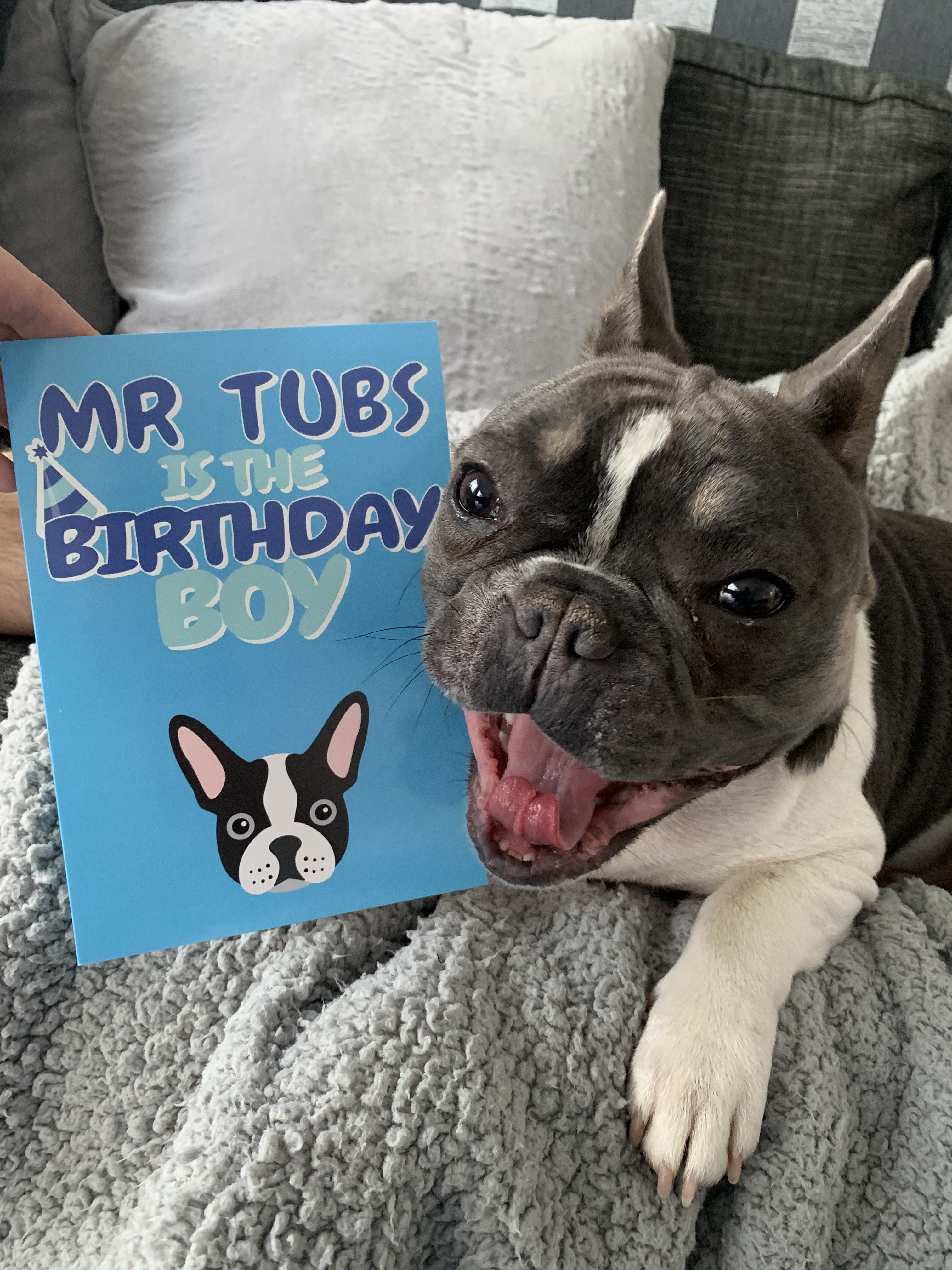 Customer photo of 'Birthday Boy' - Personalized Jack-A-Poo Card