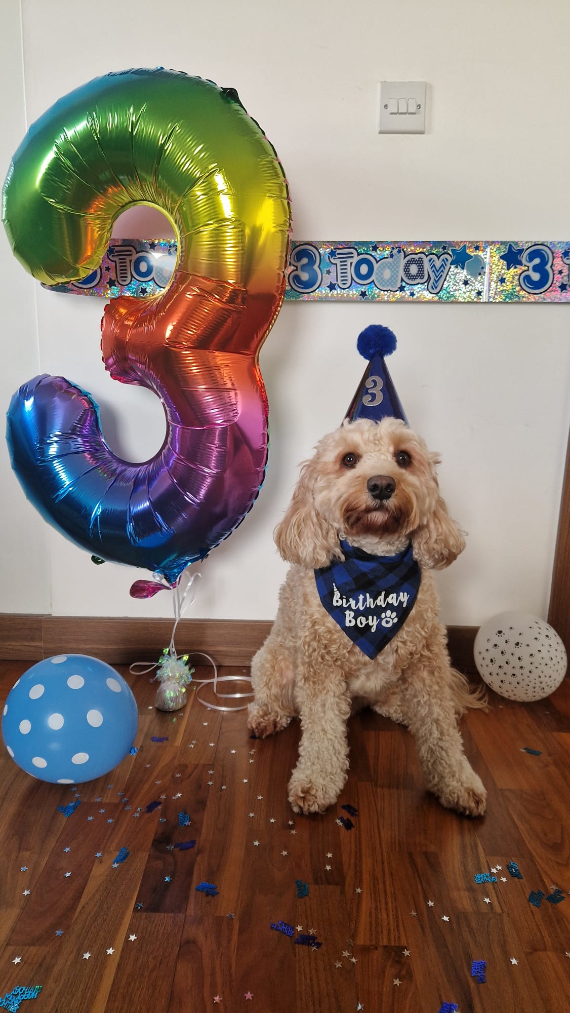 Customer photo of 'Birthday Boy' - Personalized Jack-A-Poo Card