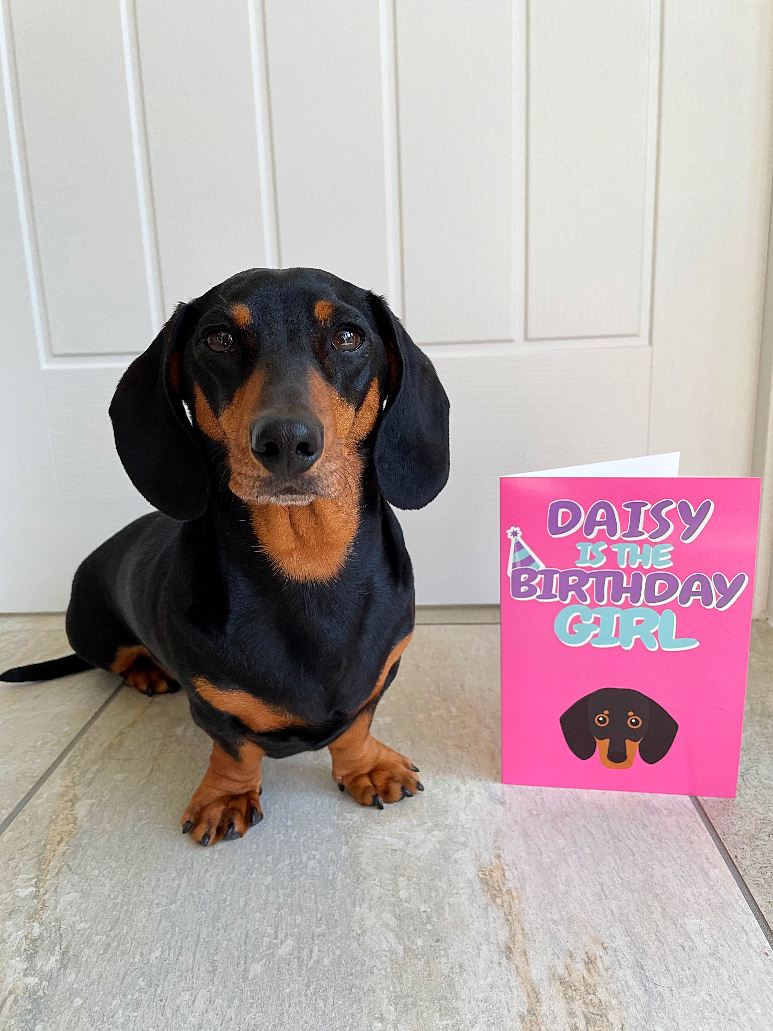 Customer photo of 'Birthday Girl' - Personalized Jack-A-Poo Card