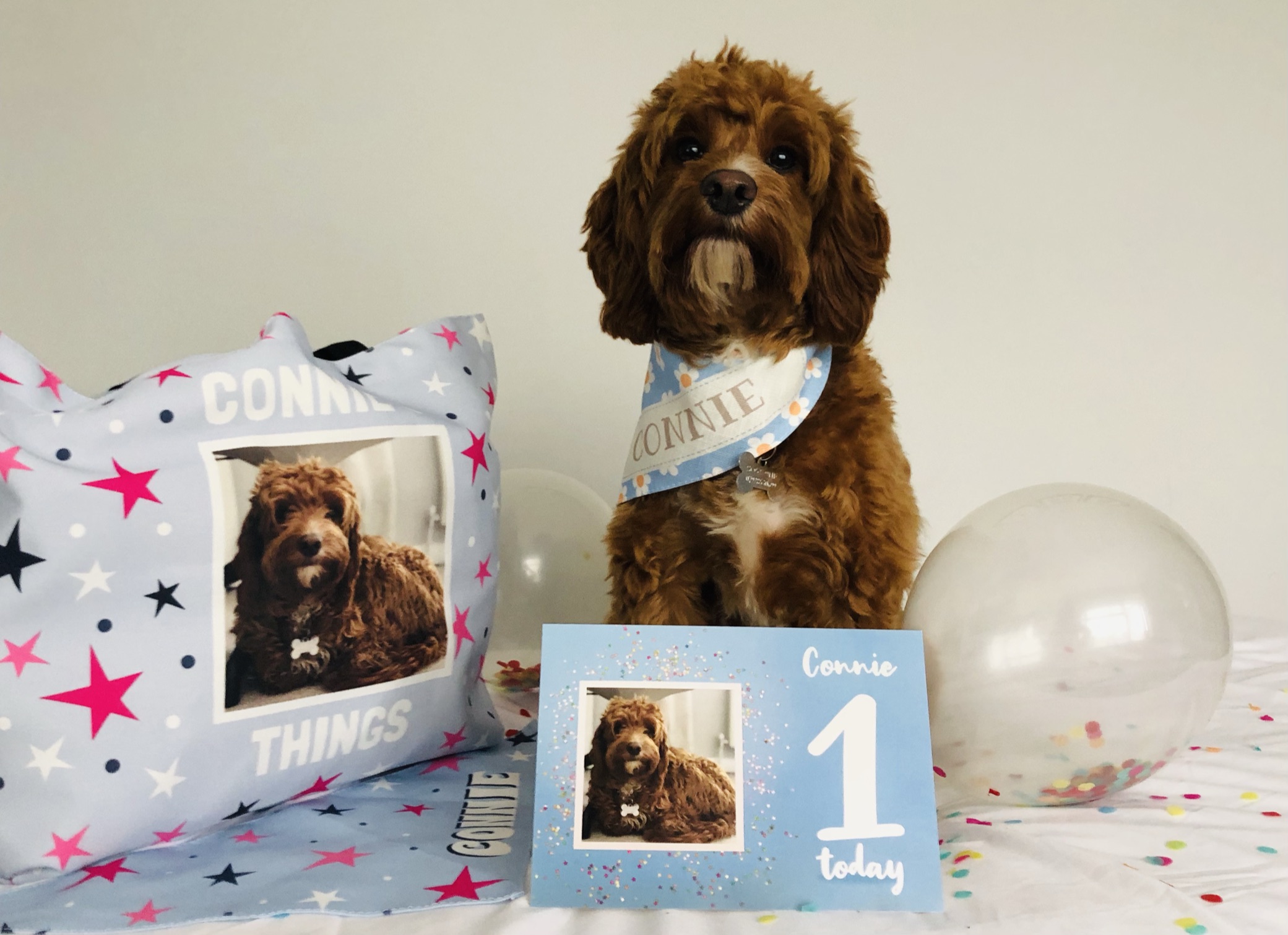 Customer photo of 'Spring Flowers' - Personalized Peek-a-poo Bandana 