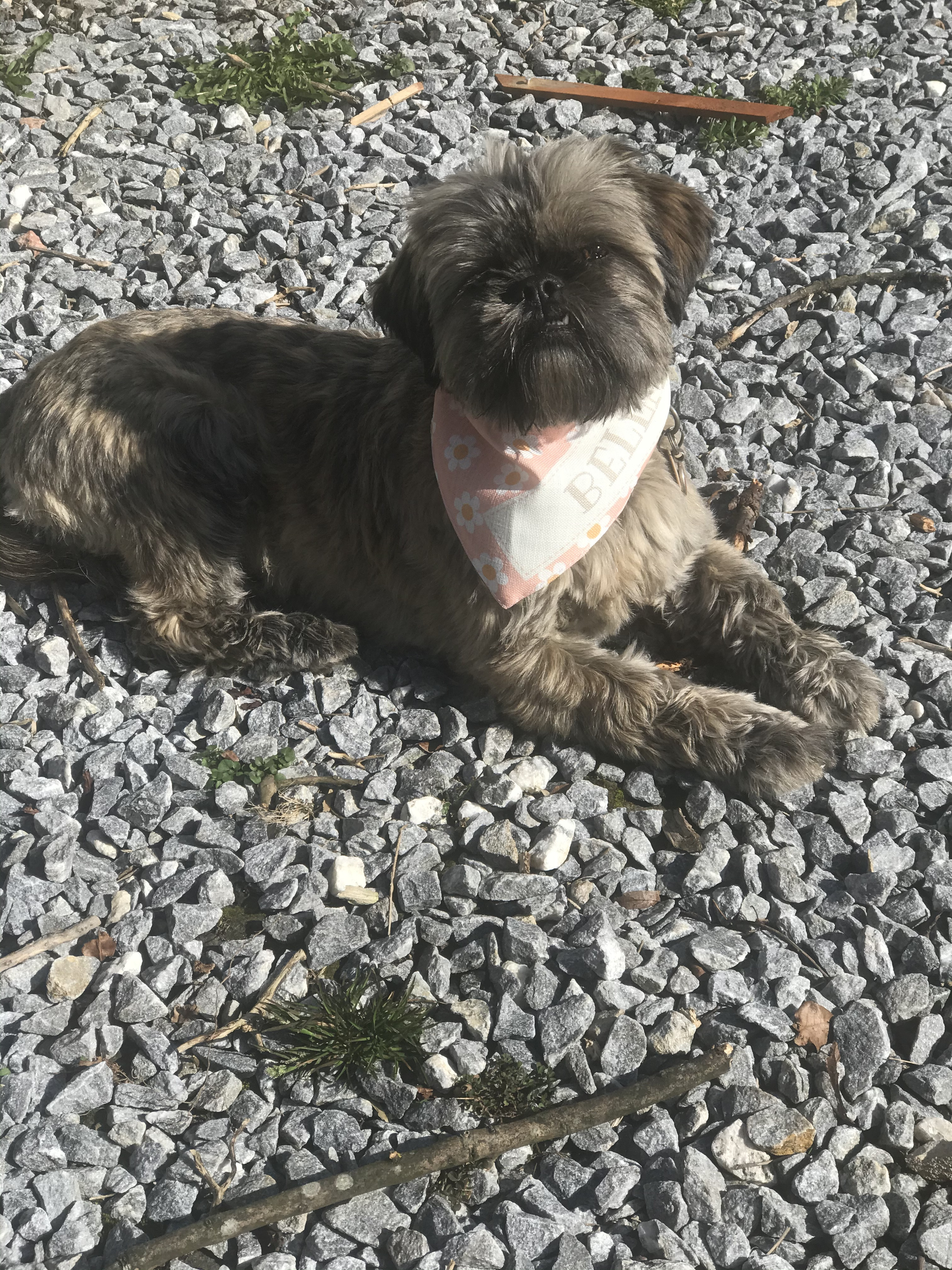 Customer photo of 'Spring Flowers' - Personalized Peek-a-poo Bandana 