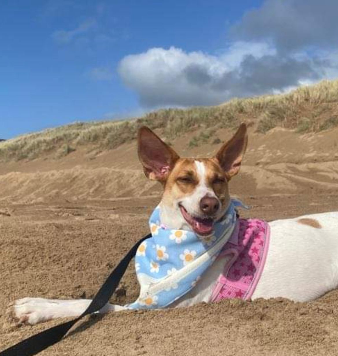 Customer photo of 'Spring Flowers' - Personalized Peek-a-poo Bandana 