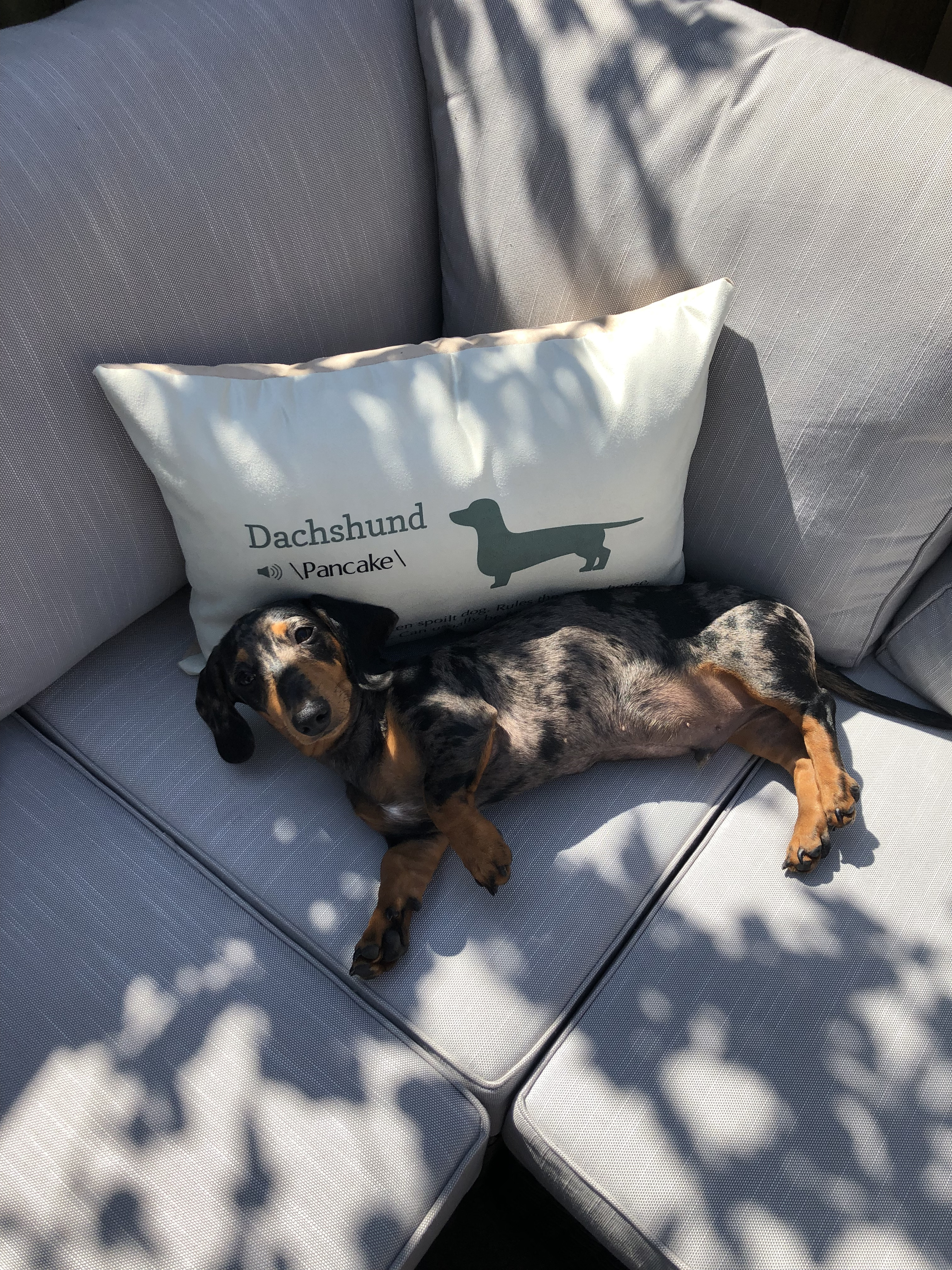 Customer photo of Jack-A-Poo Definition: Personalized Soft Touch Pillow