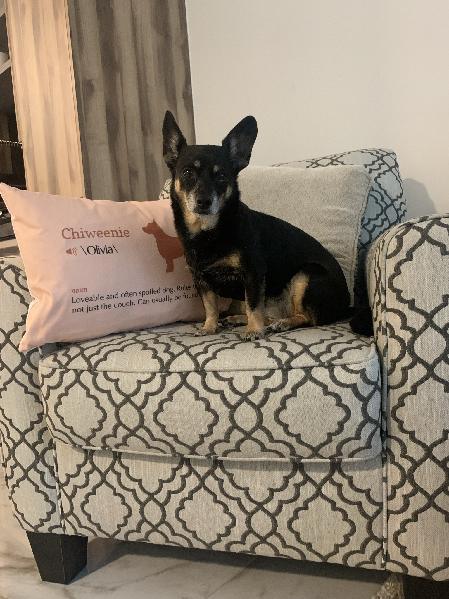 Customer photo of Jack-A-Poo Definition: Personalized Soft Touch Pillow