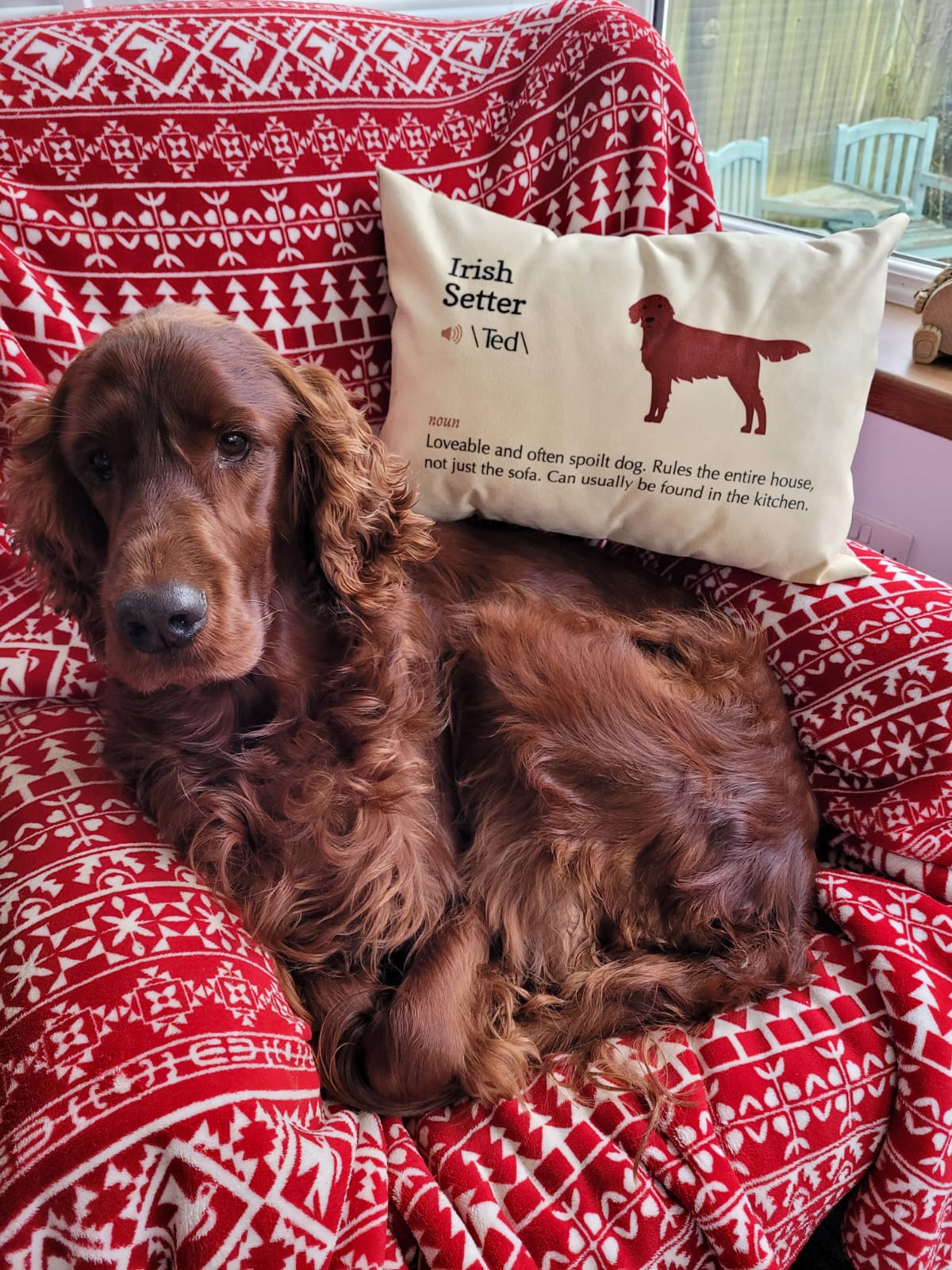 Customer photo of Jack-A-Poo Definition: Personalized Soft Touch Pillow