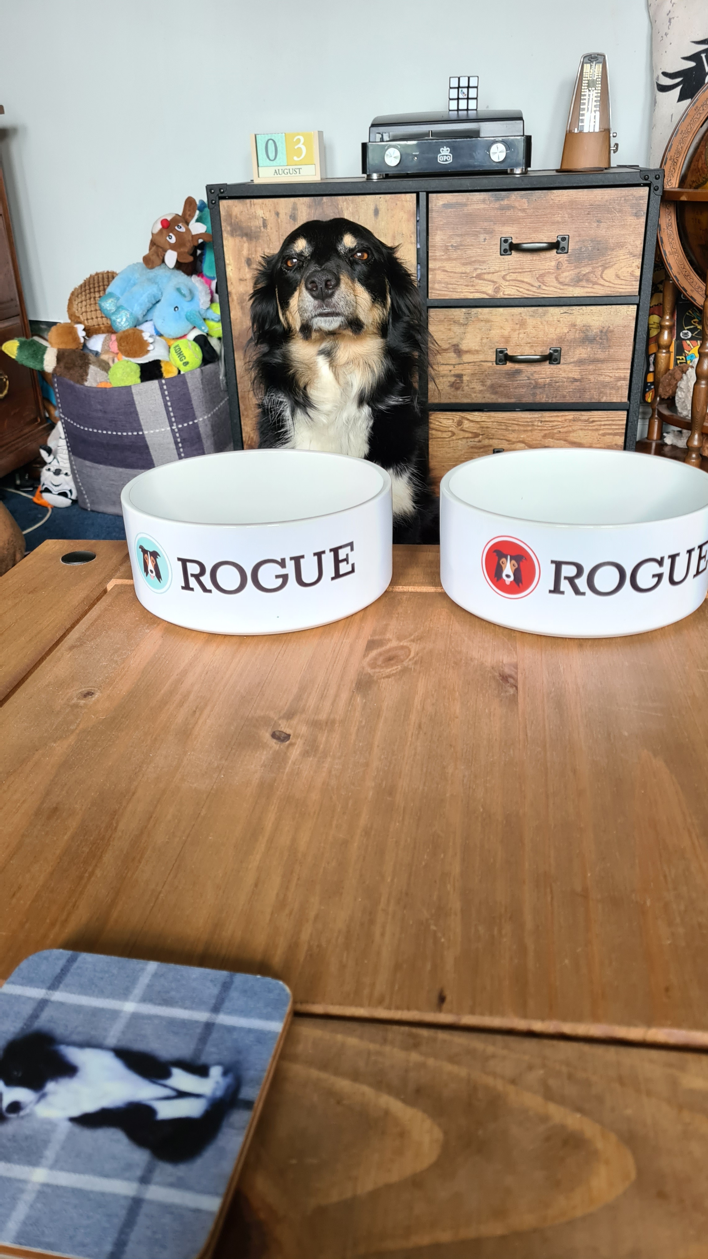 Customer photo of 'Lhasapoo Icon' - Personalized Dog Bowl