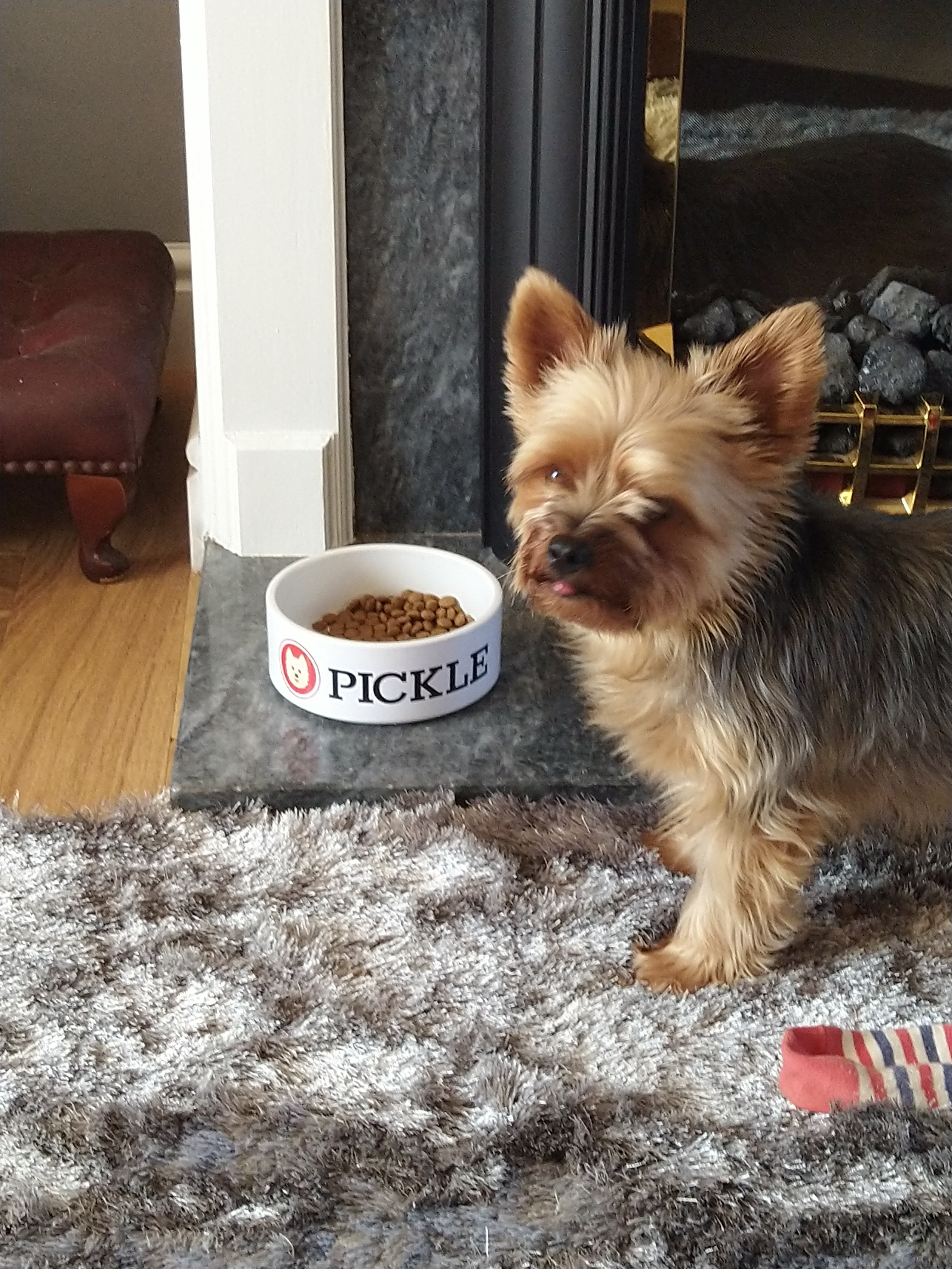 Customer photo of 'Lhasapoo Icon' - Personalized Dog Bowl