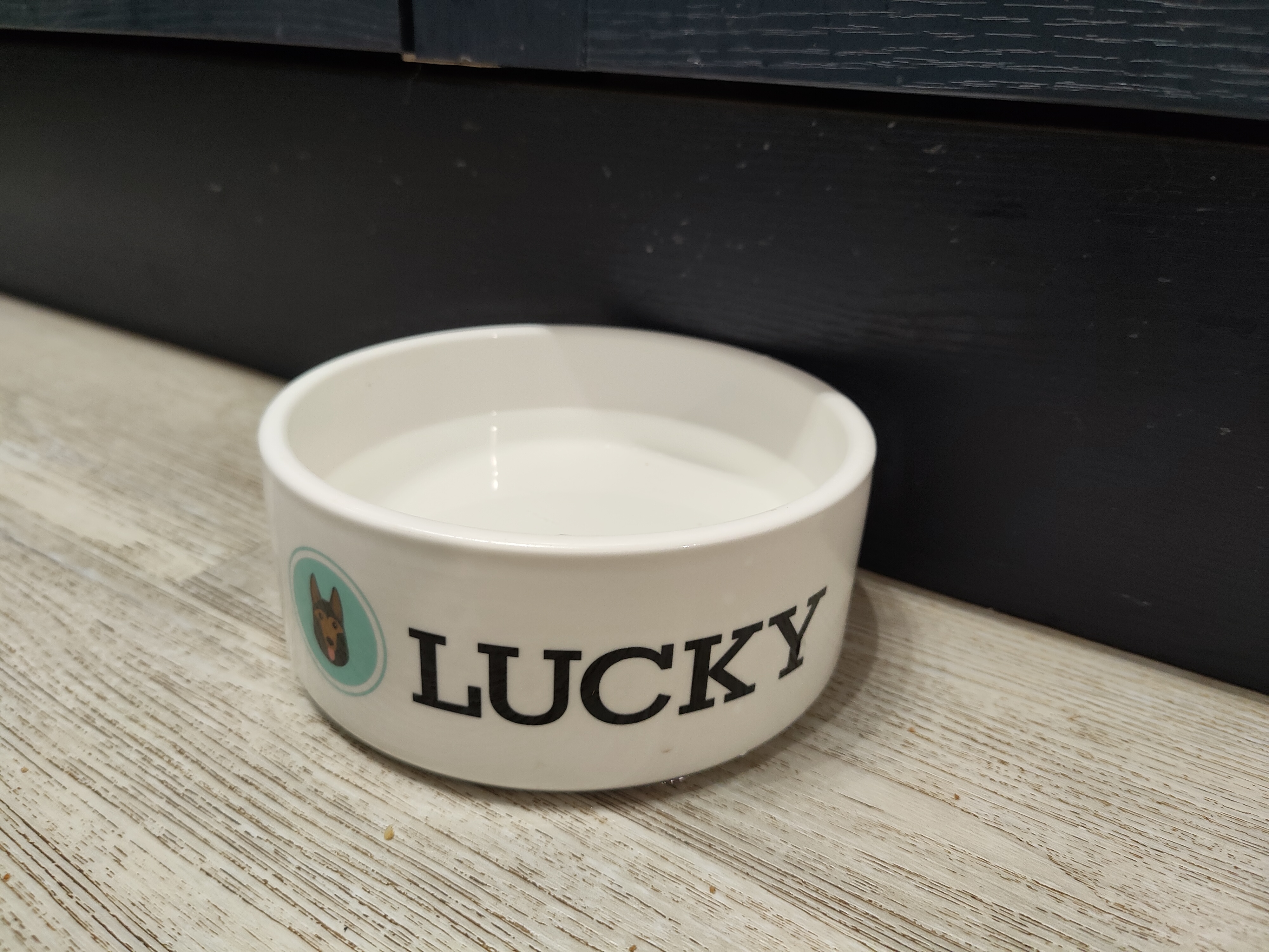Customer photo of 'Lhasapoo Icon' - Personalized Dog Bowl